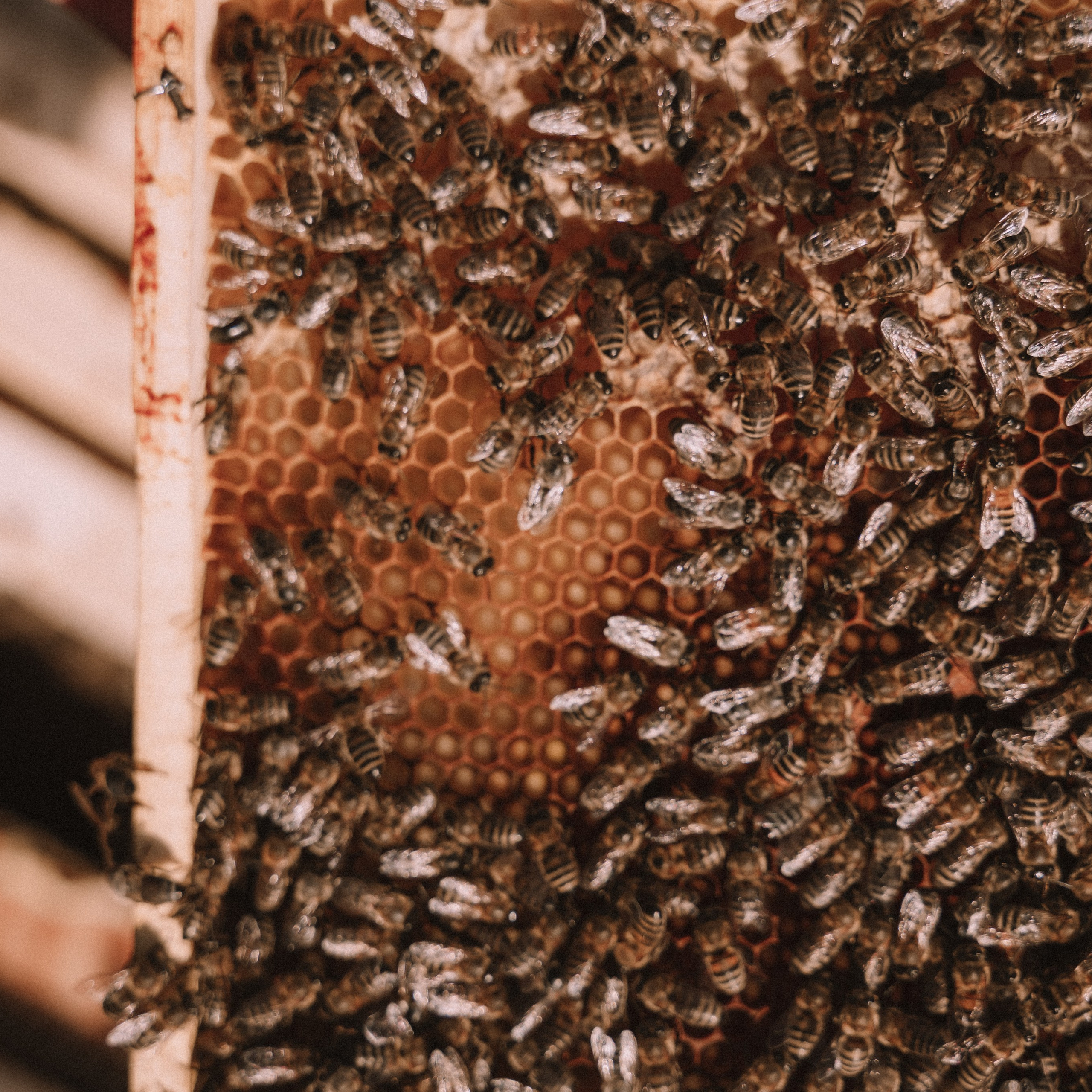 Мед. Фотосессии на маркетплейсы