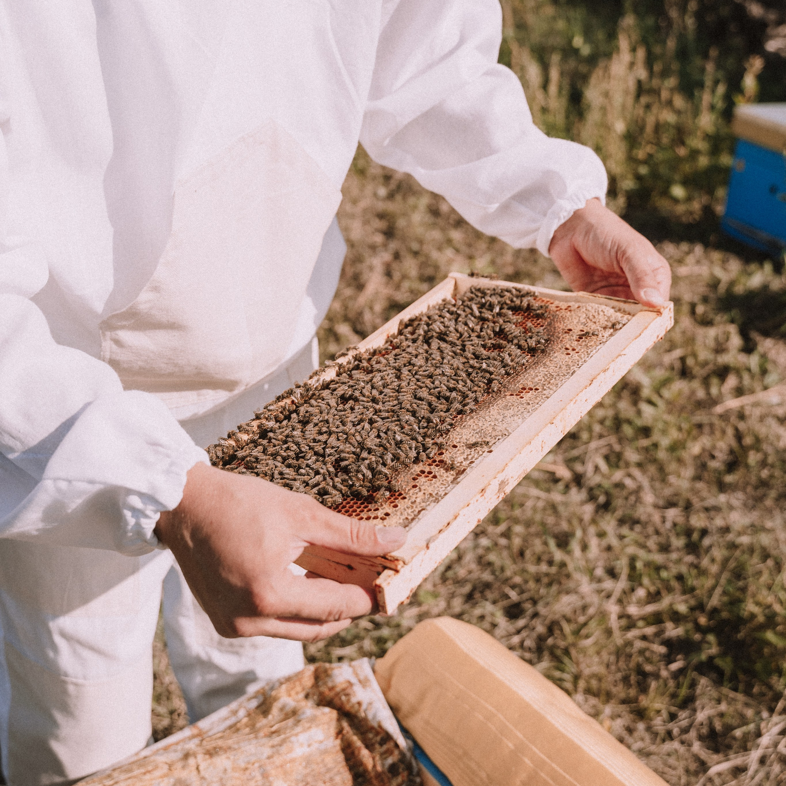 Мед. Фотосессии на маркетплейсы