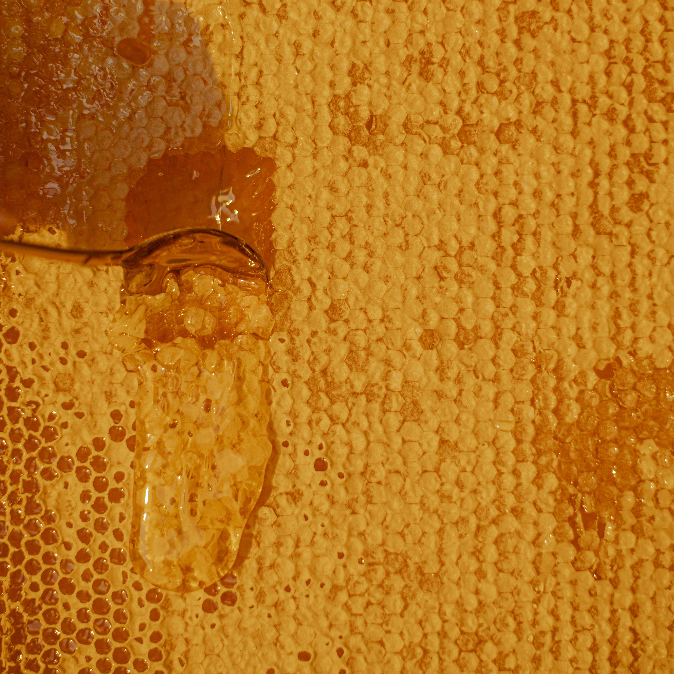 Мед. Фотосессии на маркетплейсы