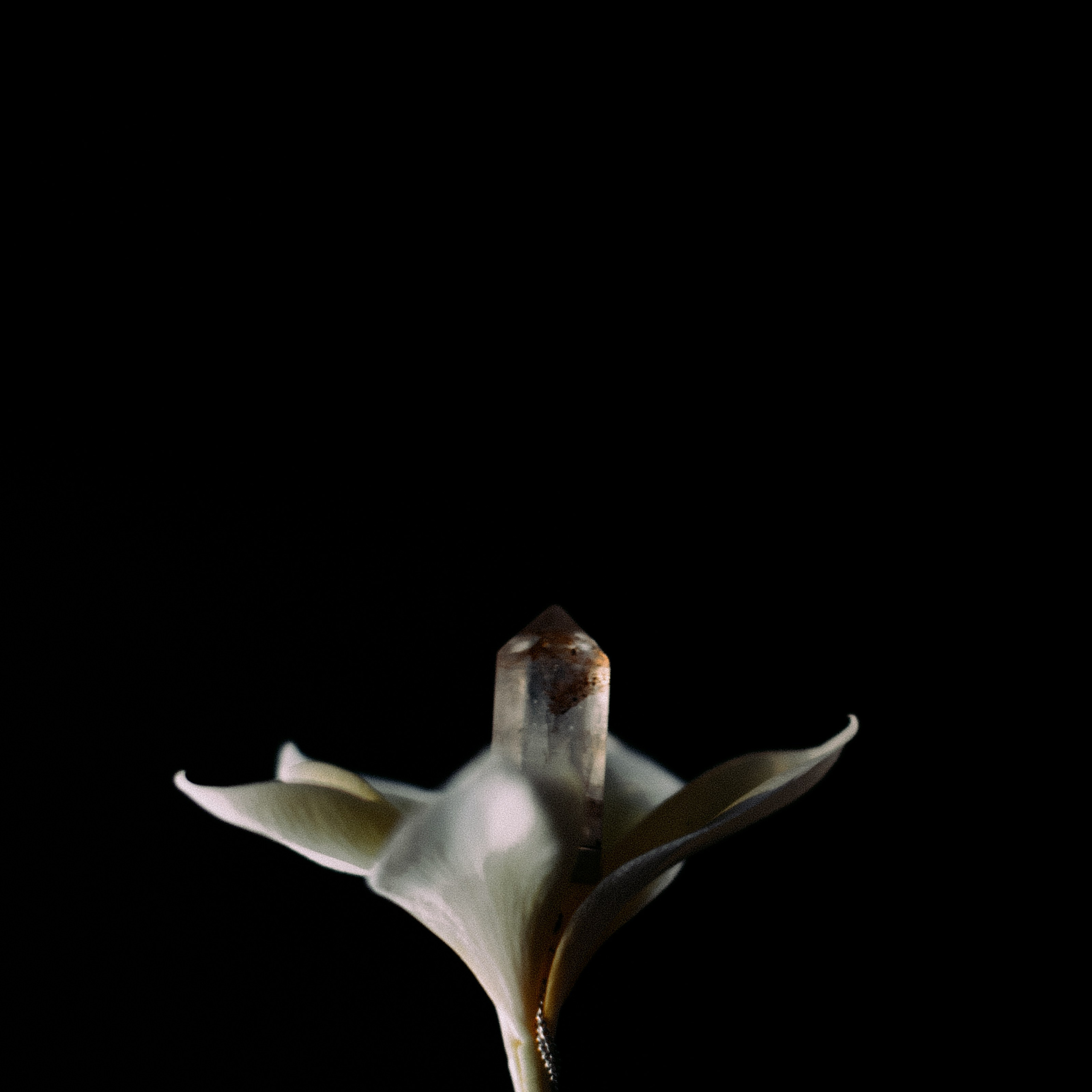 Украшения Bali Pearl. Фотосессии на маркетплейсы