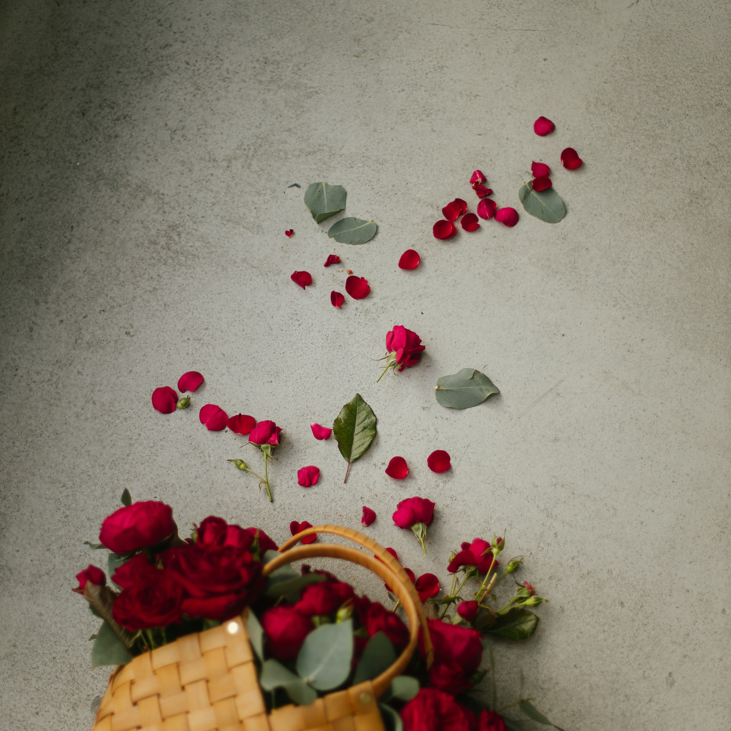 Цветочный салон Лето Мск. Фотосессии на маркетплейсы