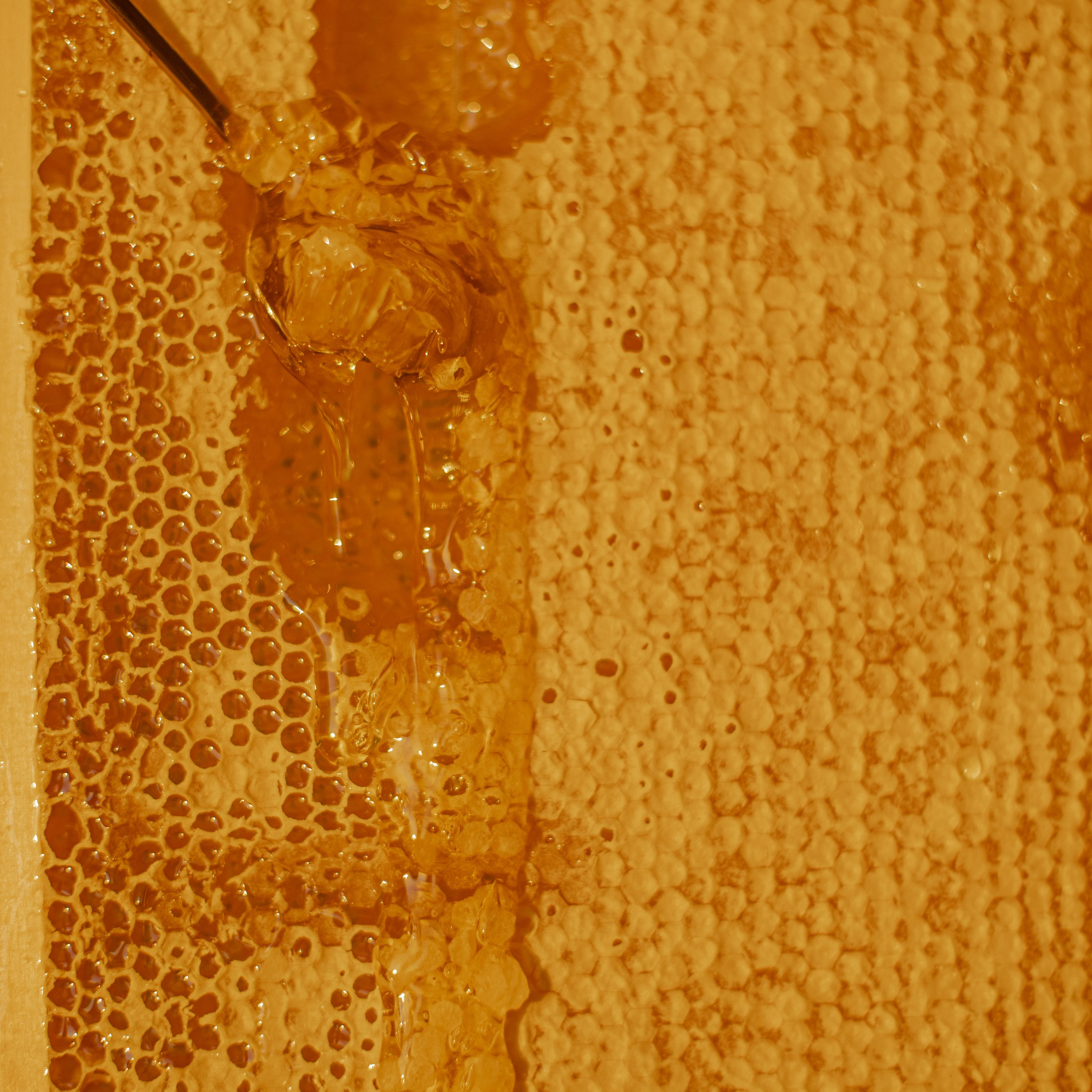 Мед. Фотосессии на маркетплейсы