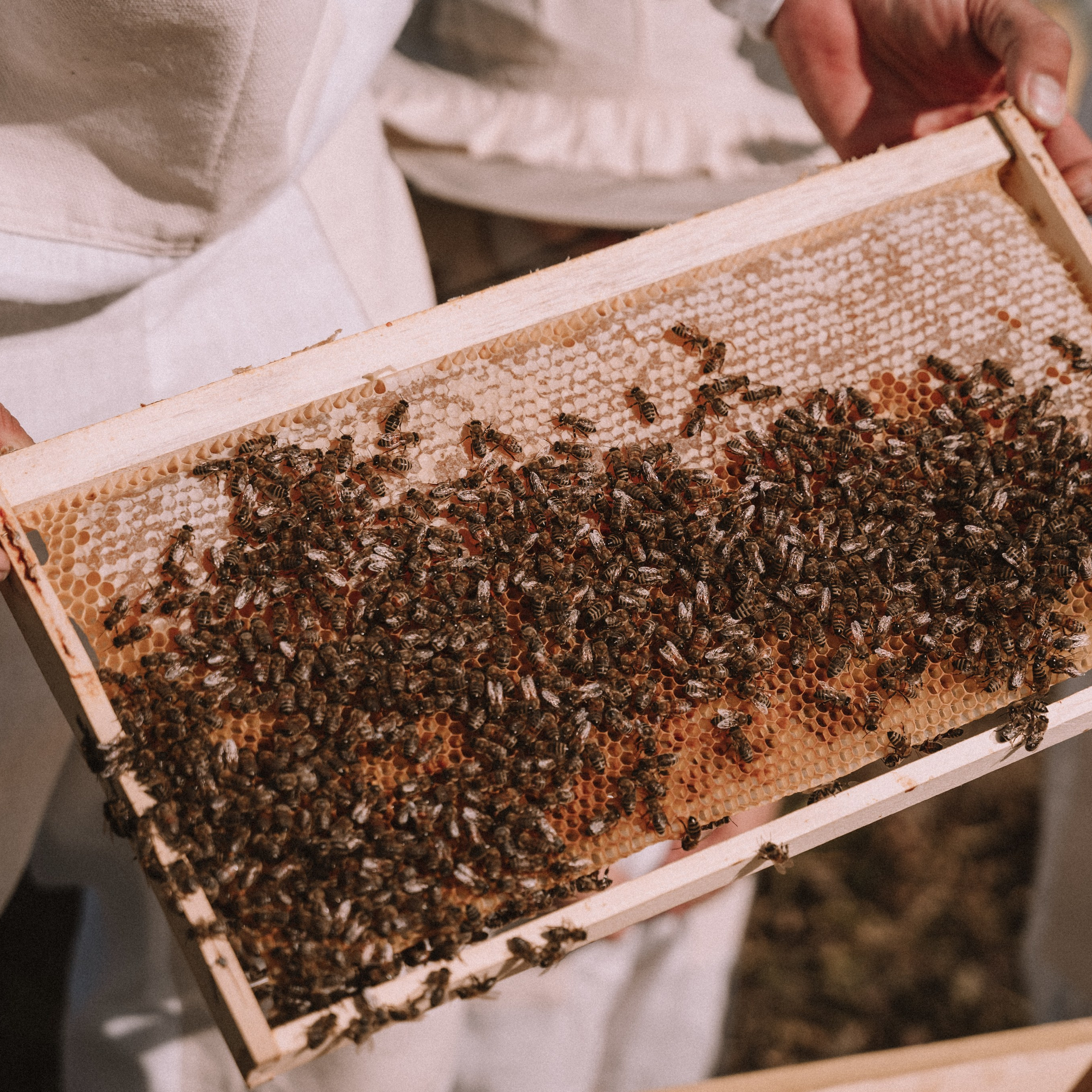 Мед. Фотосессии на маркетплейсы