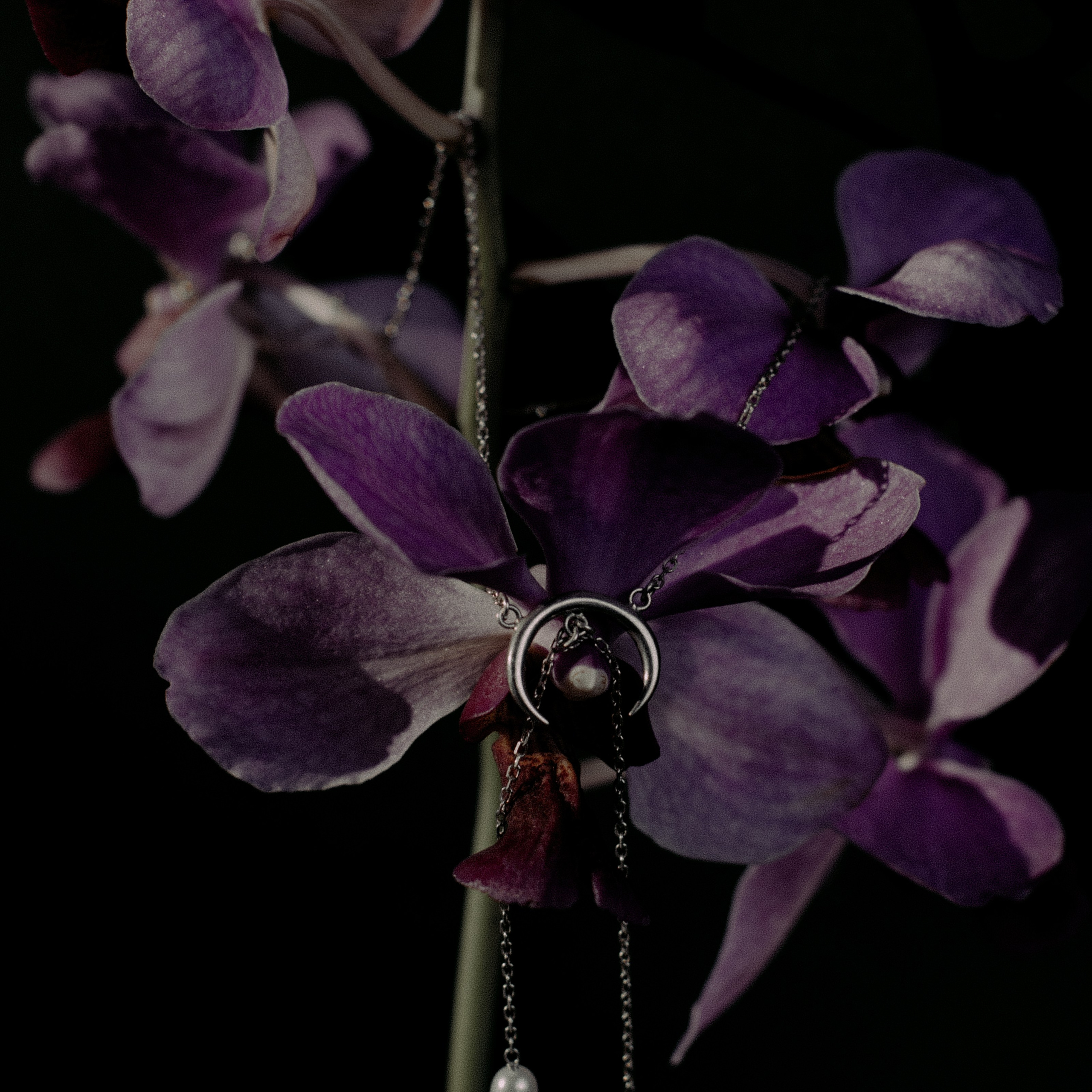 Украшения Bali Pearl. Фотосессии на маркетплейсы