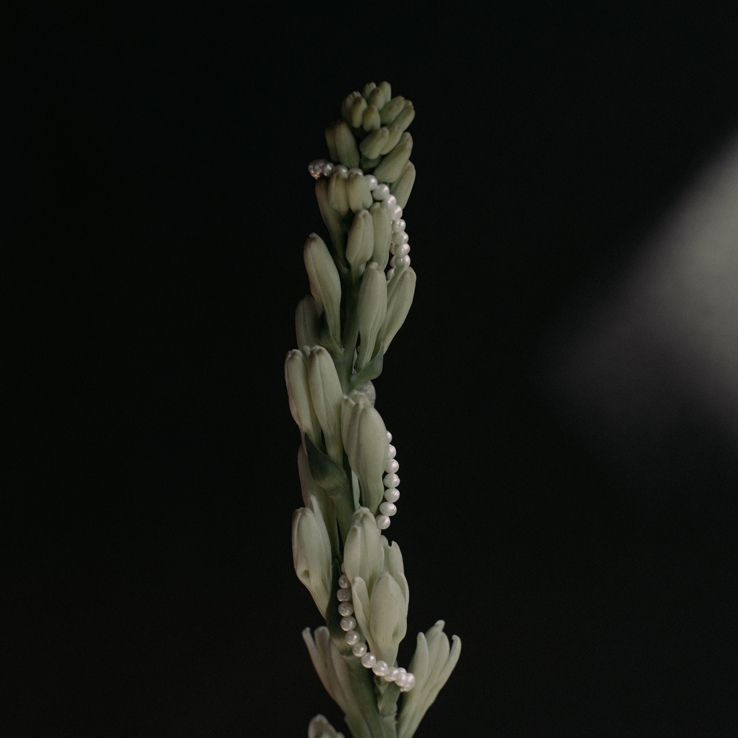 Украшения Bali Pearl. Фотосессии на маркетплейсы