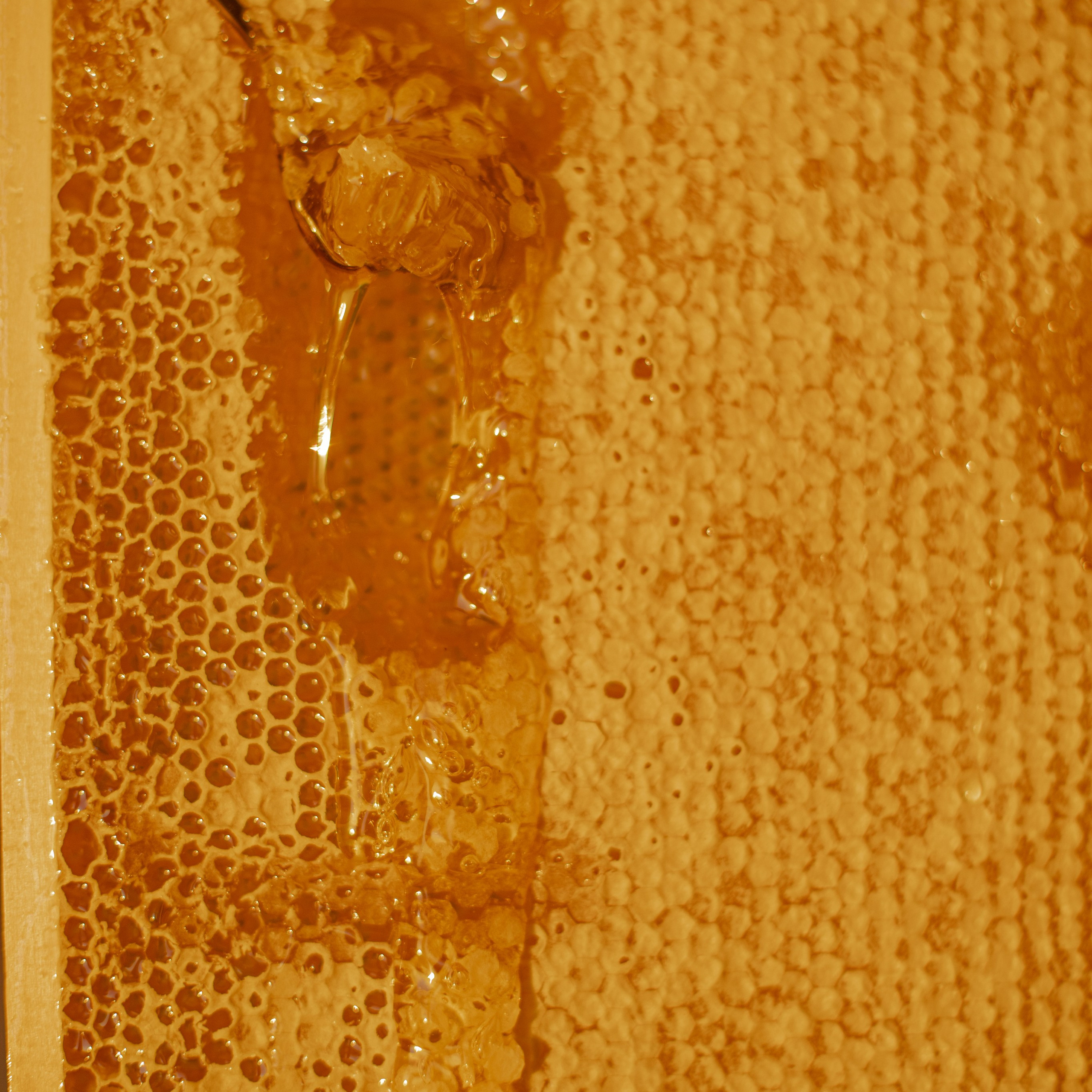 Мед. Фотосессии на маркетплейсы