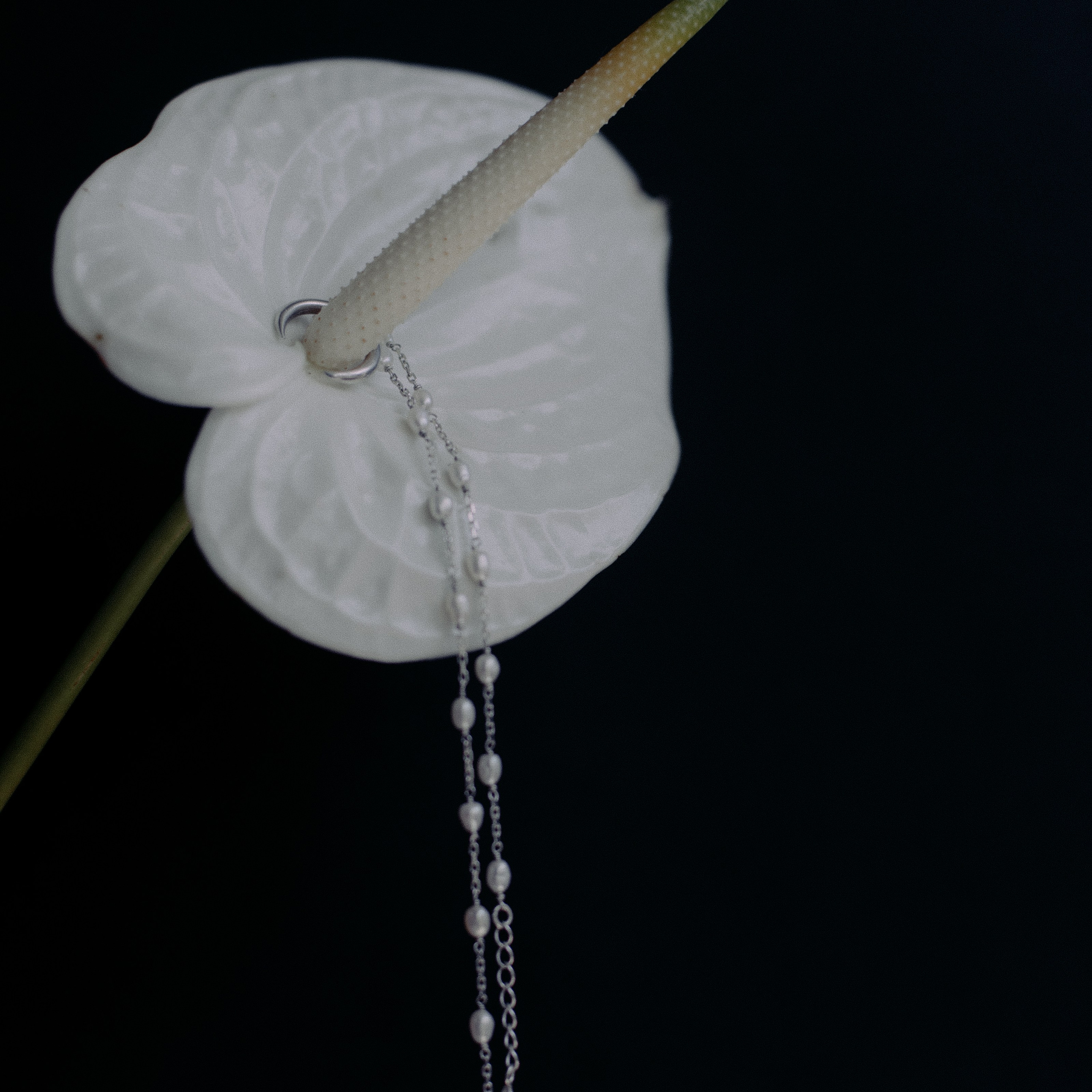 Украшения Bali Pearl. Фотосессии на маркетплейсы