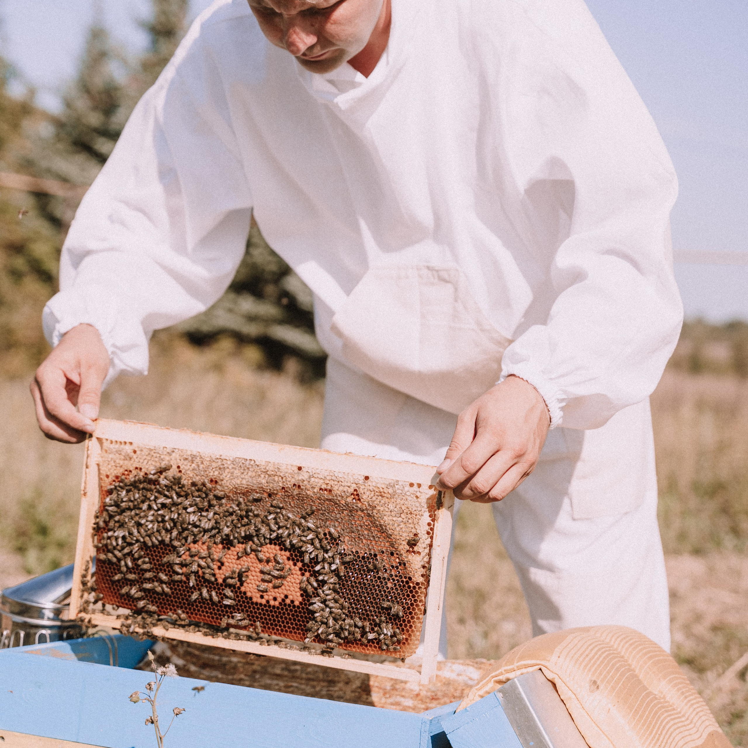 Мед. Фотосессии на маркетплейсы