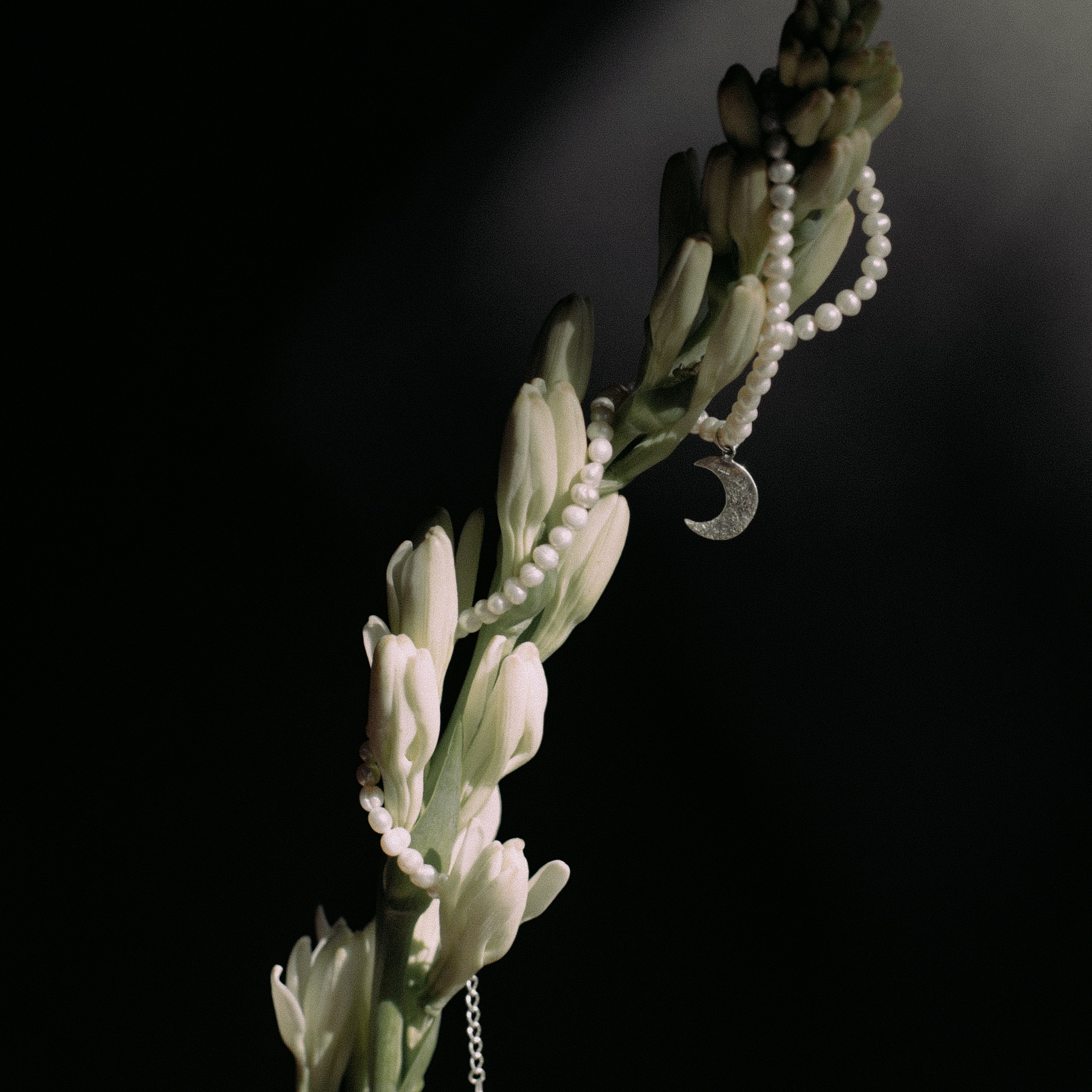 Украшения Bali Pearl. Фотосессии на маркетплейсы