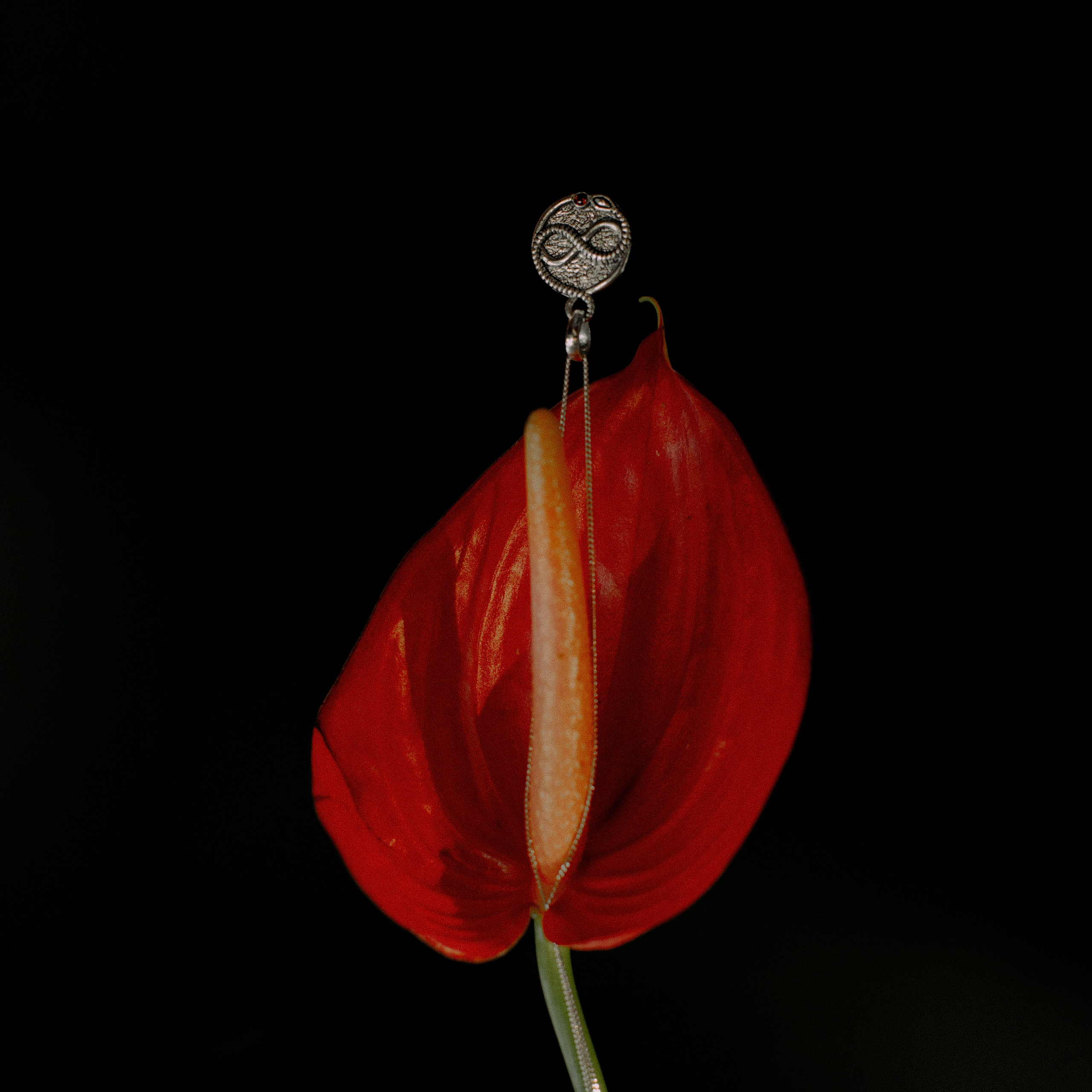 Украшения Bali Pearl. Фотосессии на маркетплейсы