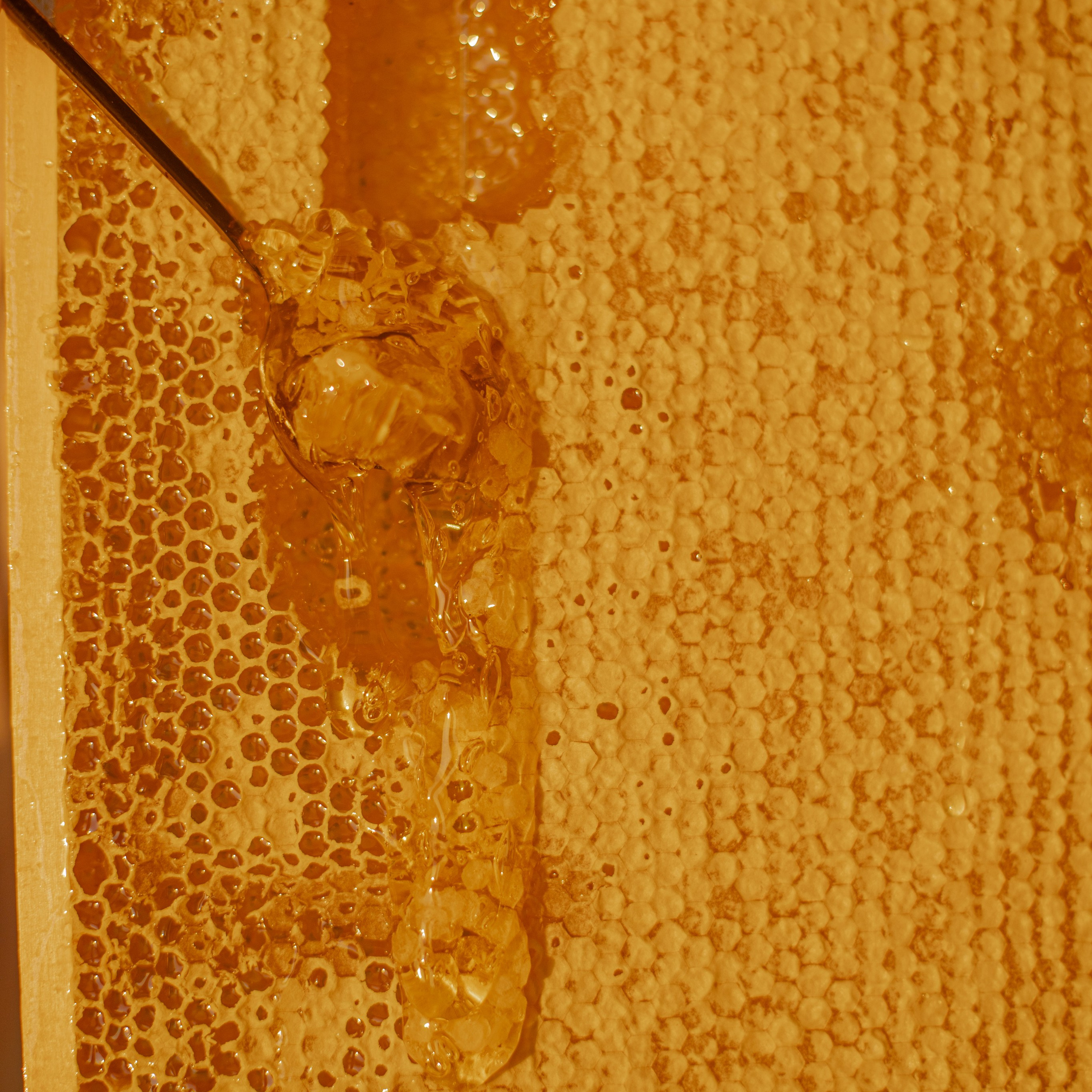 Мед. Фотосессии на маркетплейсы