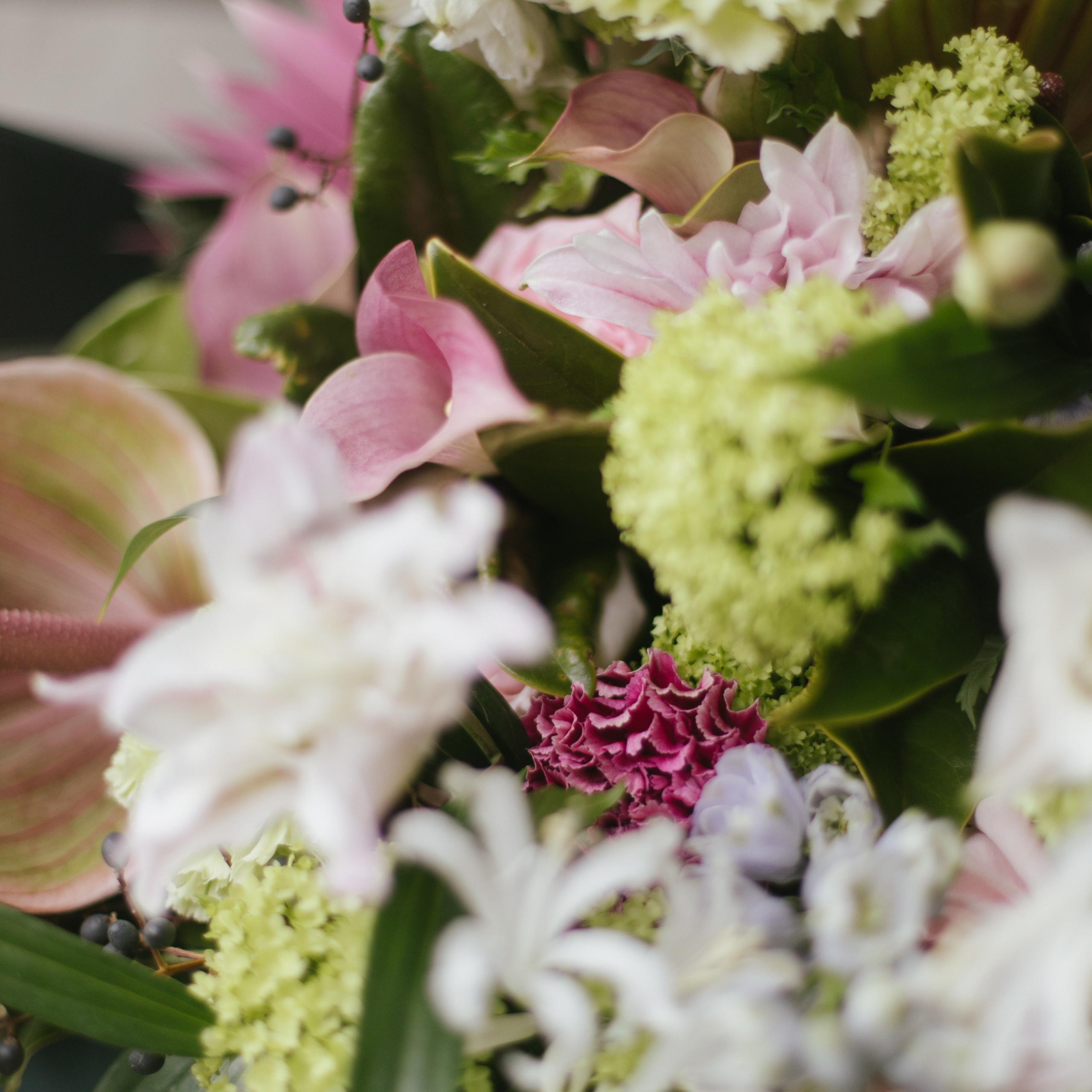 Цветочный салон Лето Мск. Фотосессии на маркетплейсы