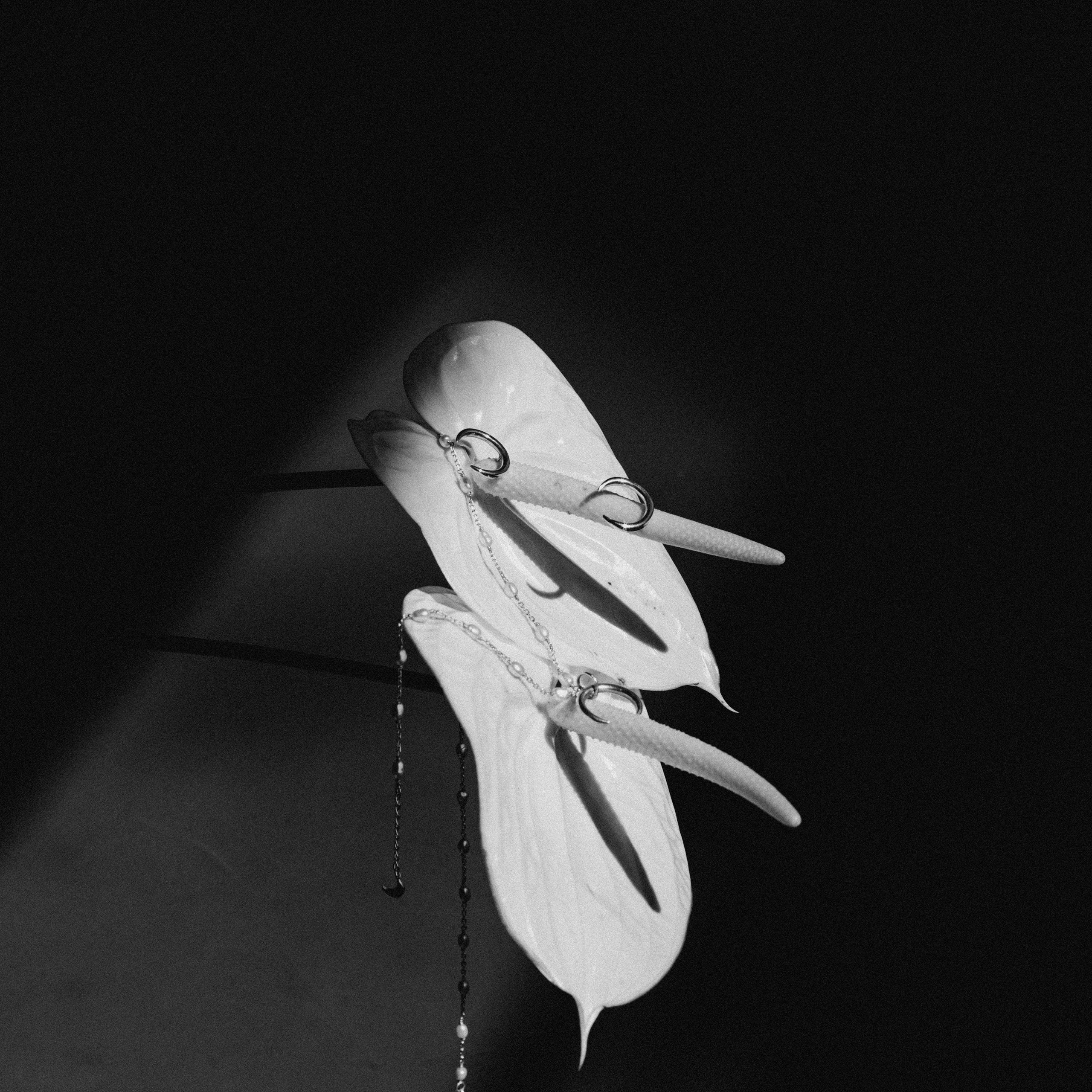 Украшения Bali Pearl. Фотосессии на маркетплейсы