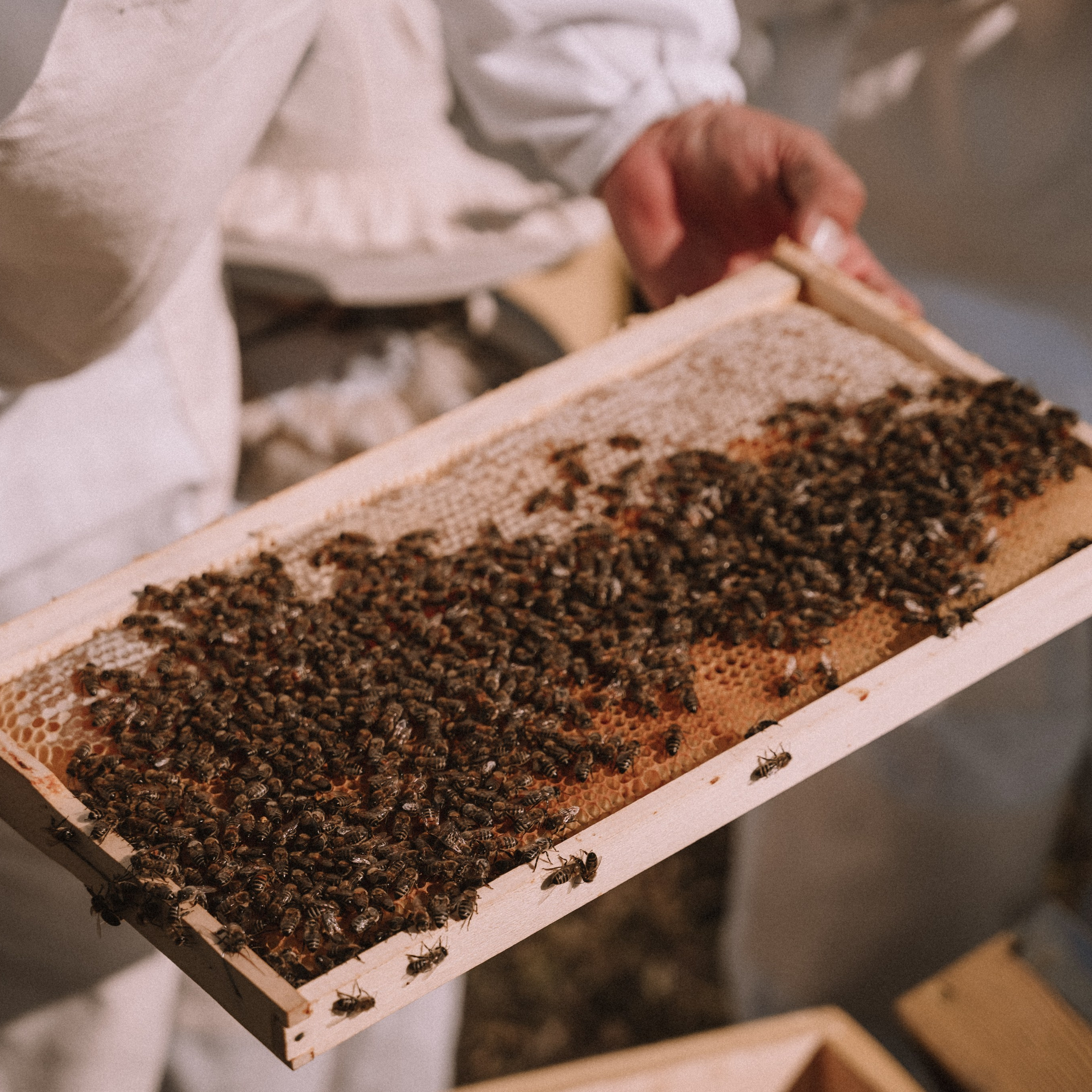 Мед. Фотосессии на маркетплейсы