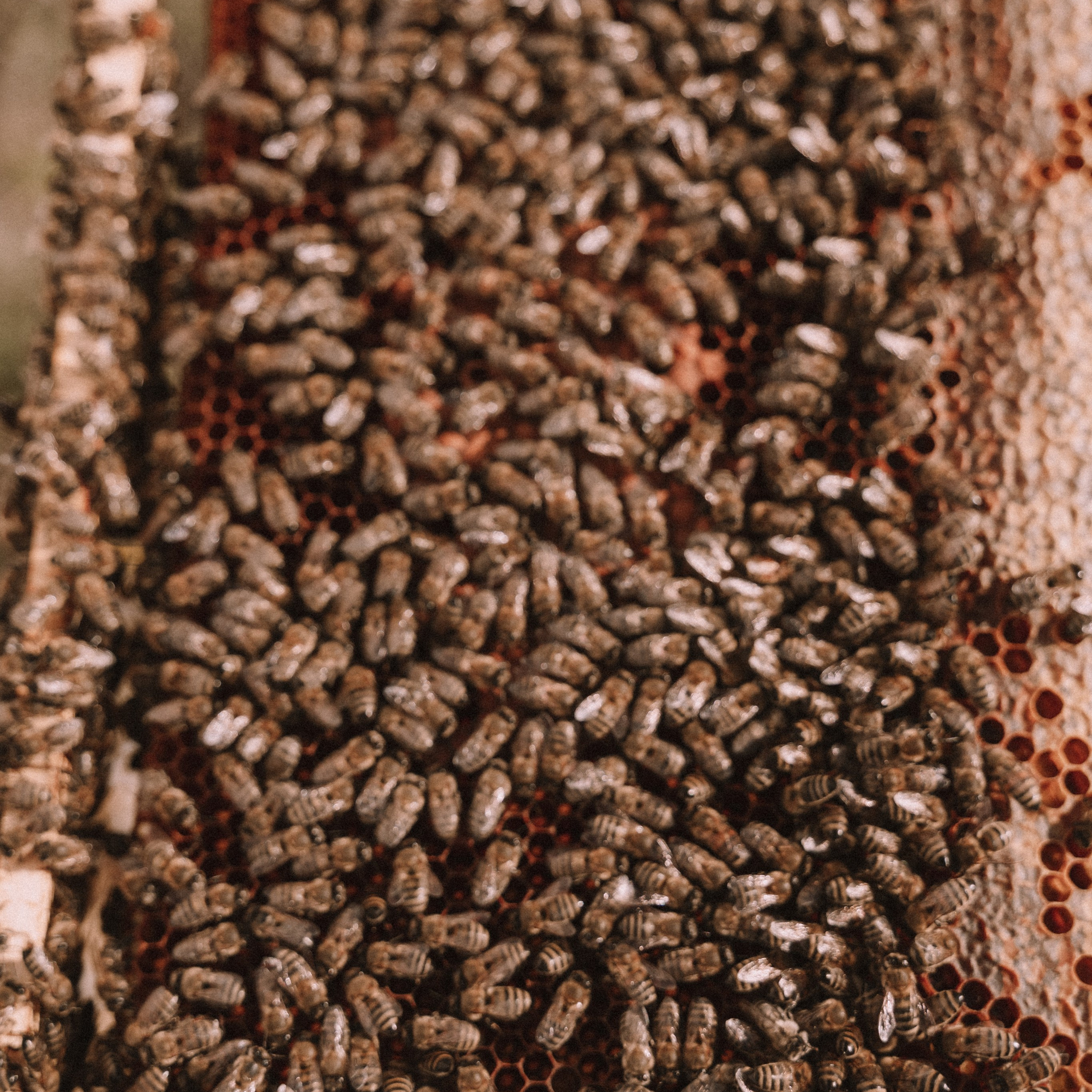 Мед. Фотосессии на маркетплейсы