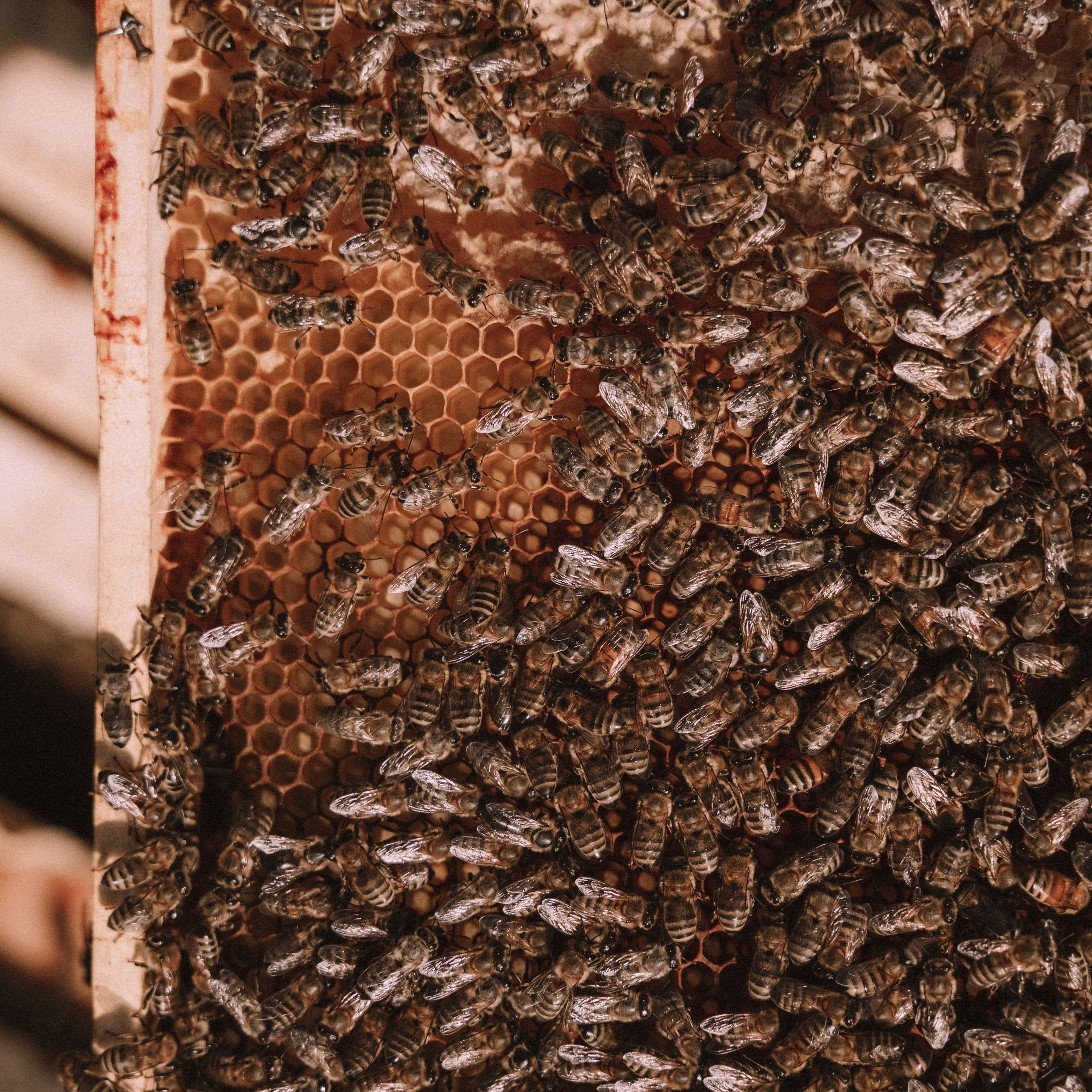 Мед. Фотосессии на маркетплейсы