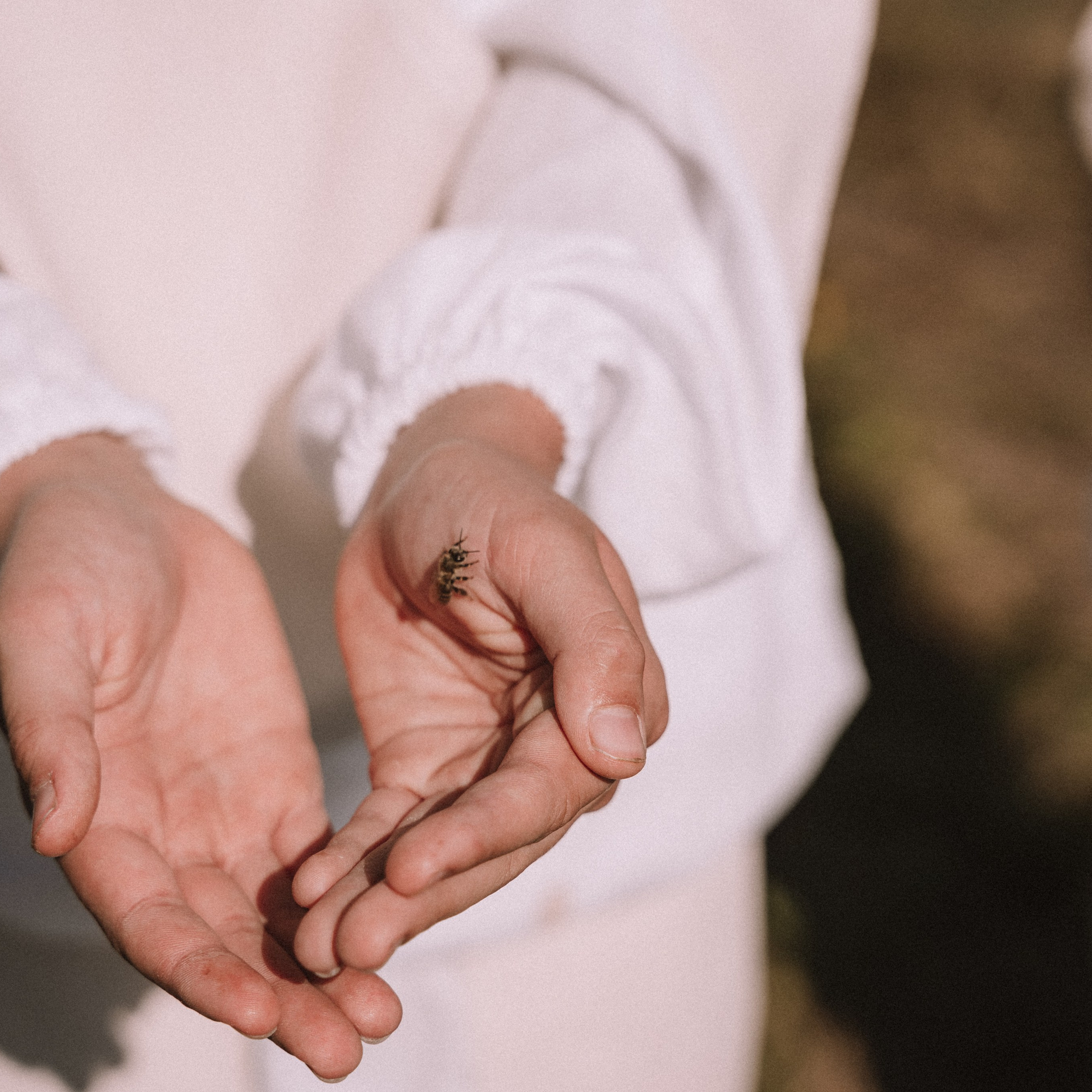 Мед. Фотосессии на маркетплейсы