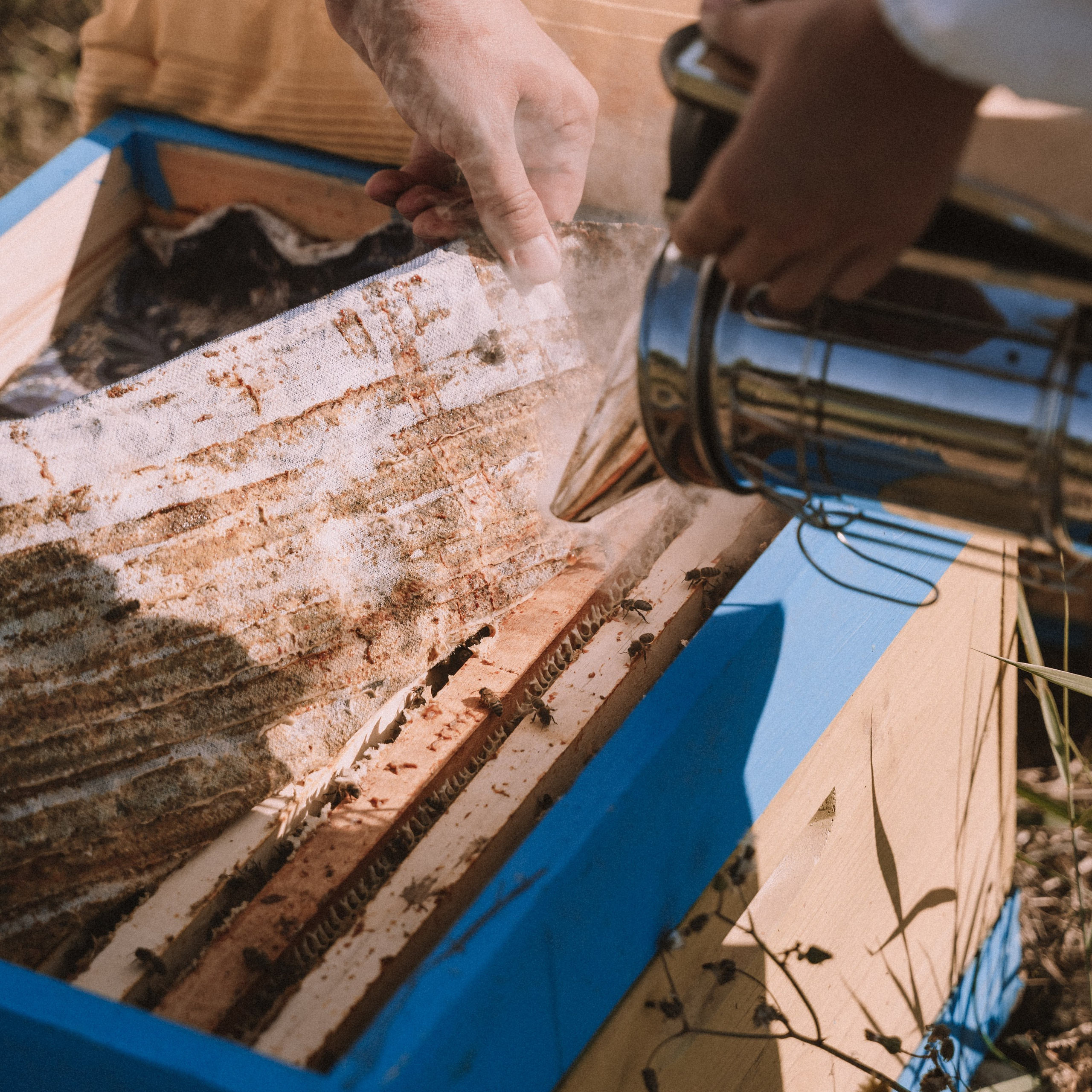 Мед. Фотосессии на маркетплейсы