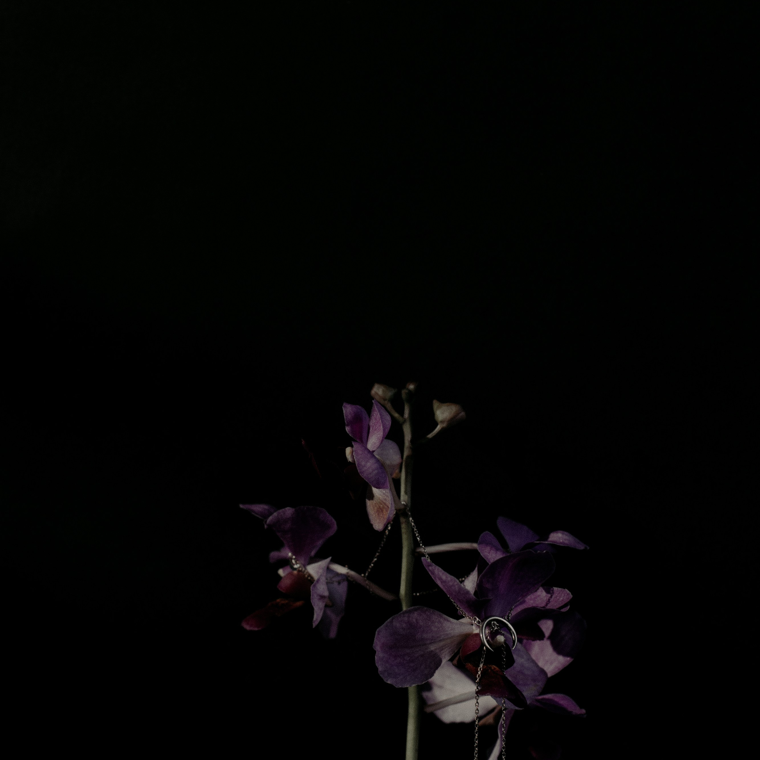 Украшения Bali Pearl. Фотосессии на маркетплейсы