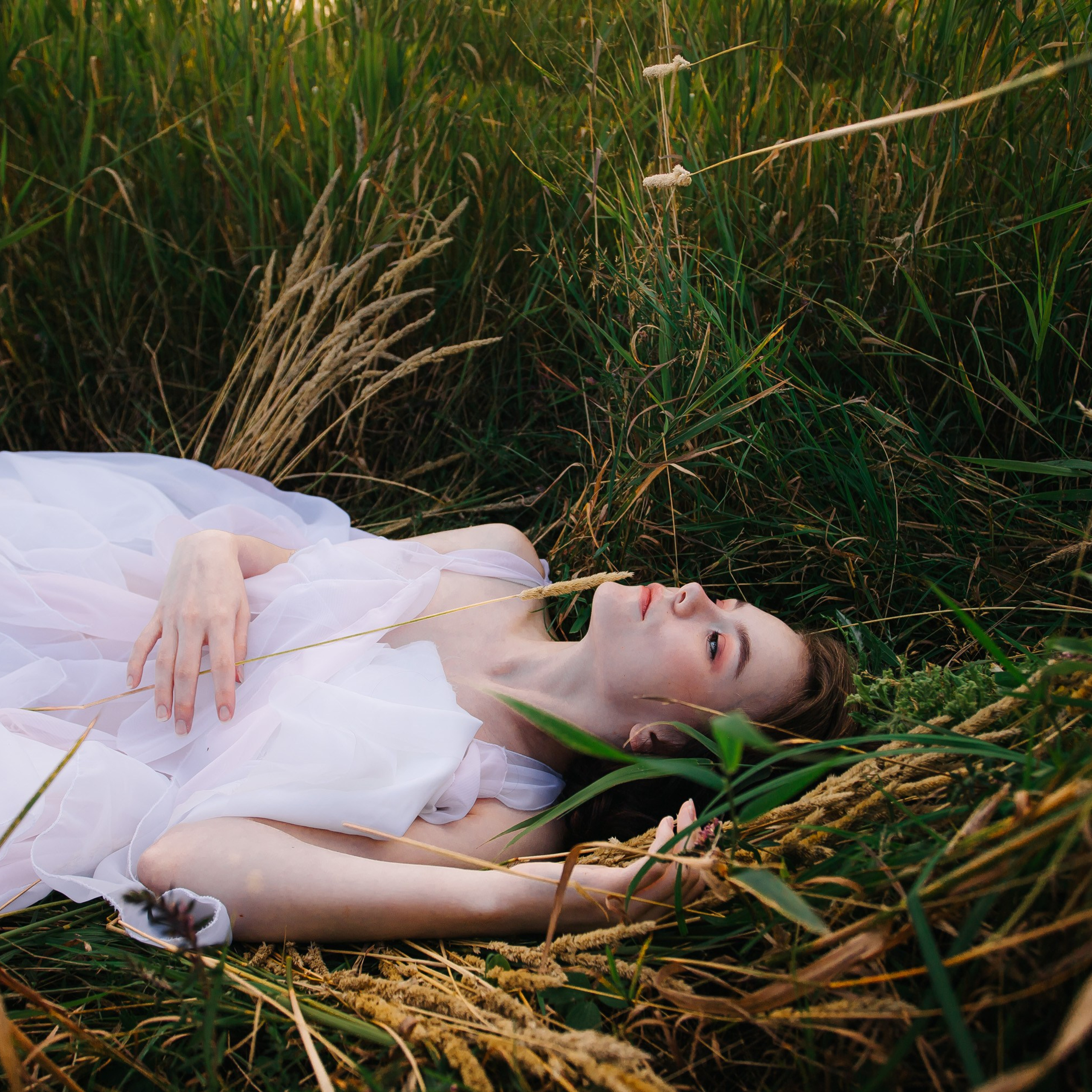 Мечты о лете