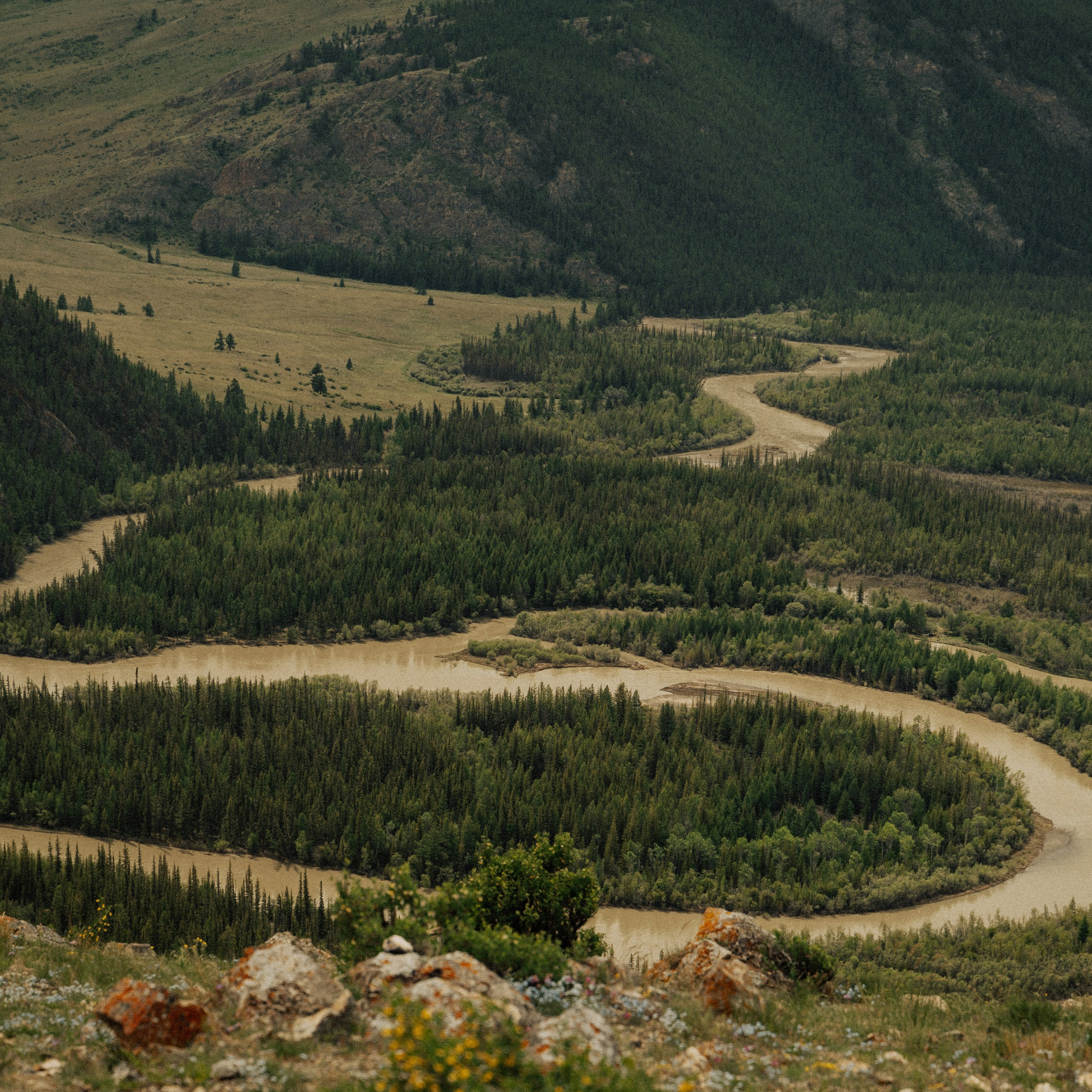 Алтай. Контент съемка | Мобильный фотограф Ириша Гришина