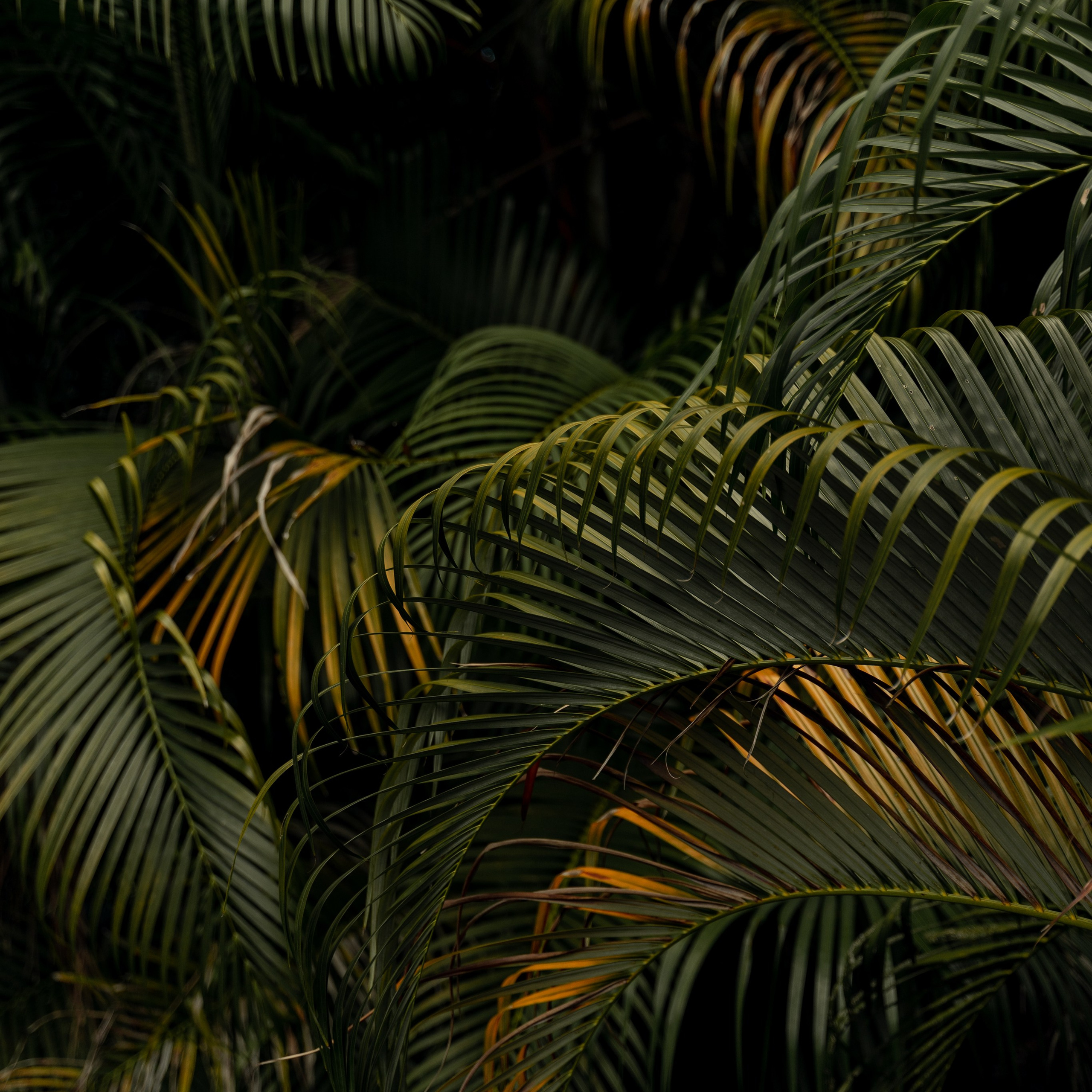 Travel story с Татьяной Соловей. Контент съемка | Мобильный фотограф Ириша Гришина