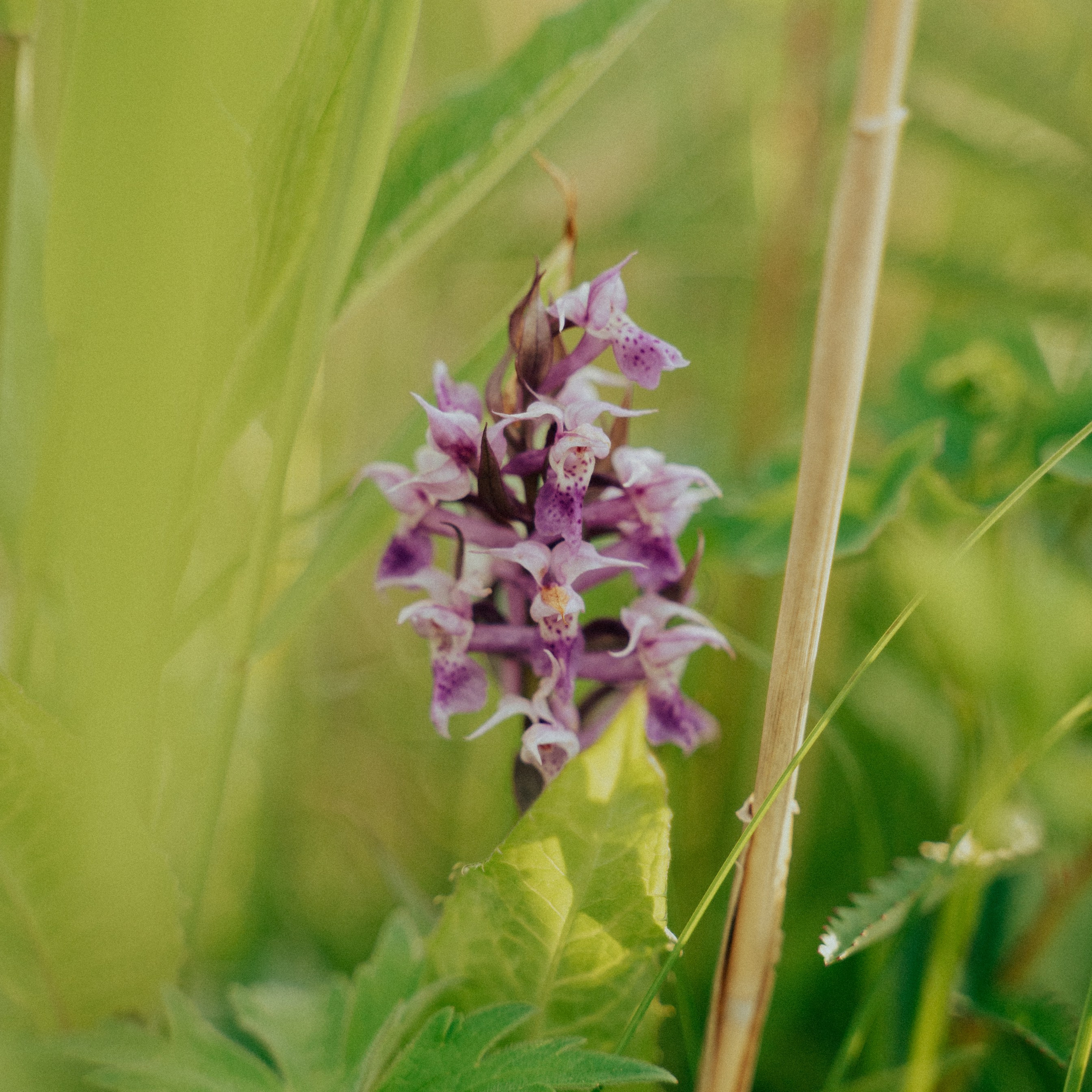 Сахалин. Контент съемка | Мобильный фотограф Ириша Гришина