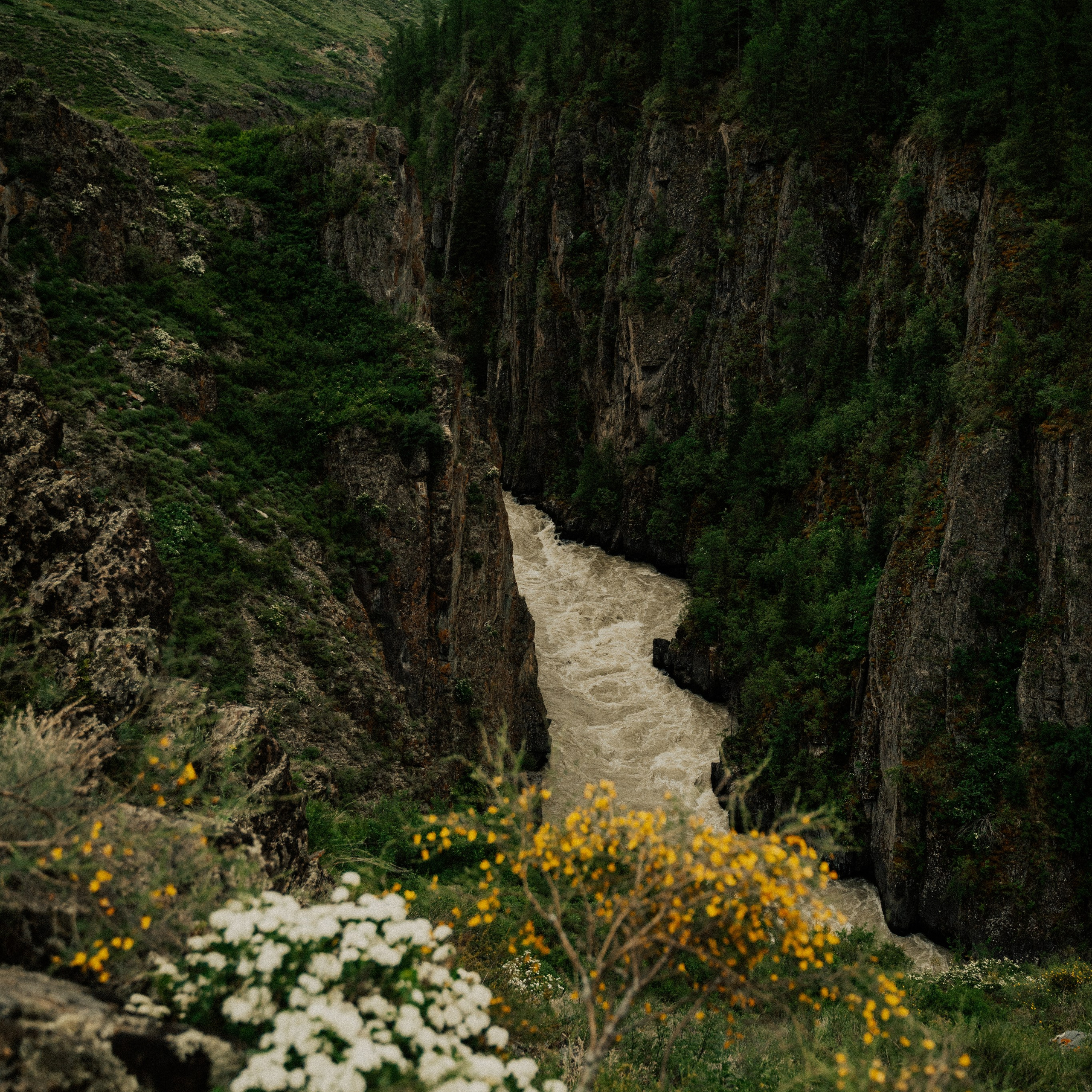 Алтай. Контент съемка | Мобильный фотограф Ириша Гришина