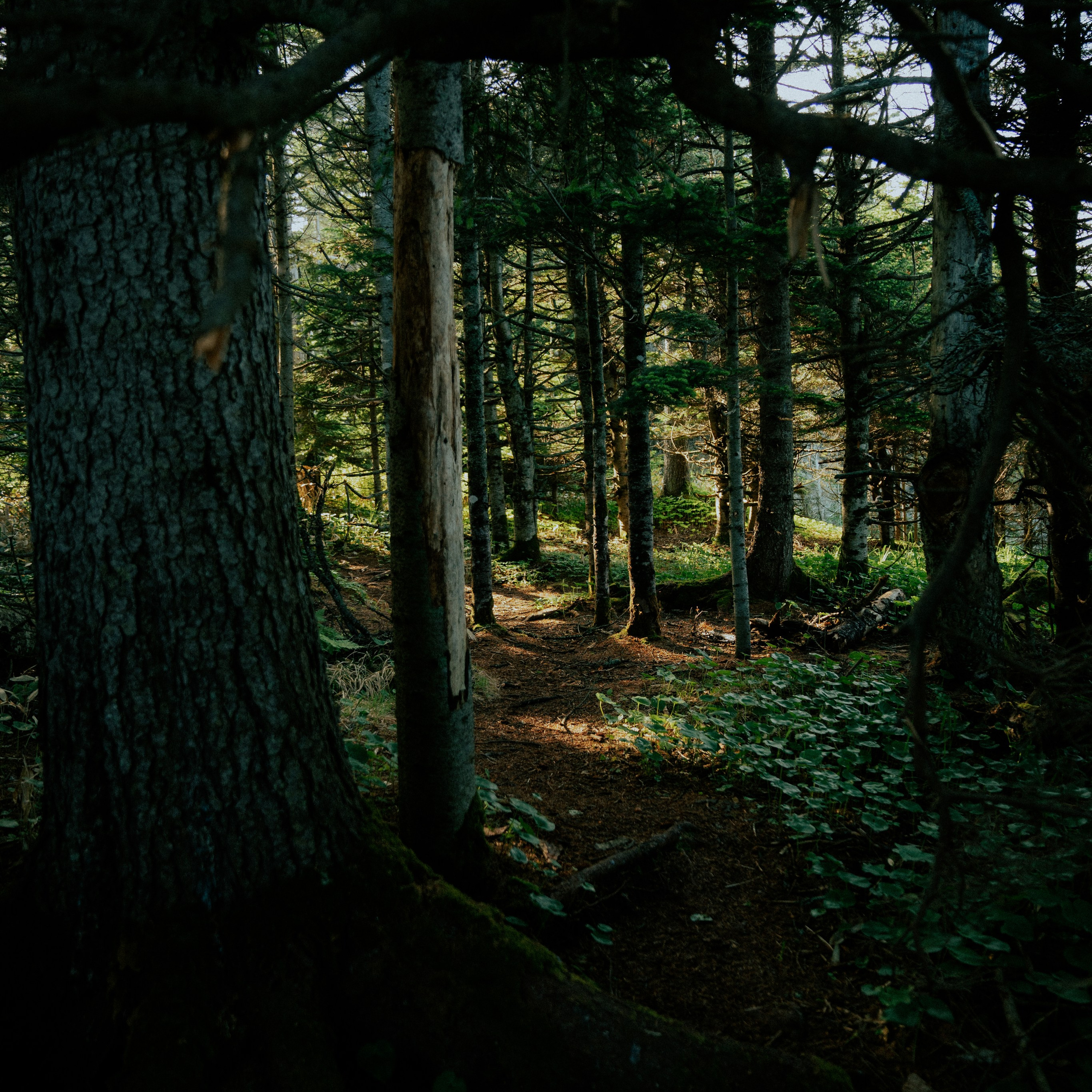 Сахалин. Контент съемка | Мобильный фотограф Ириша Гришина