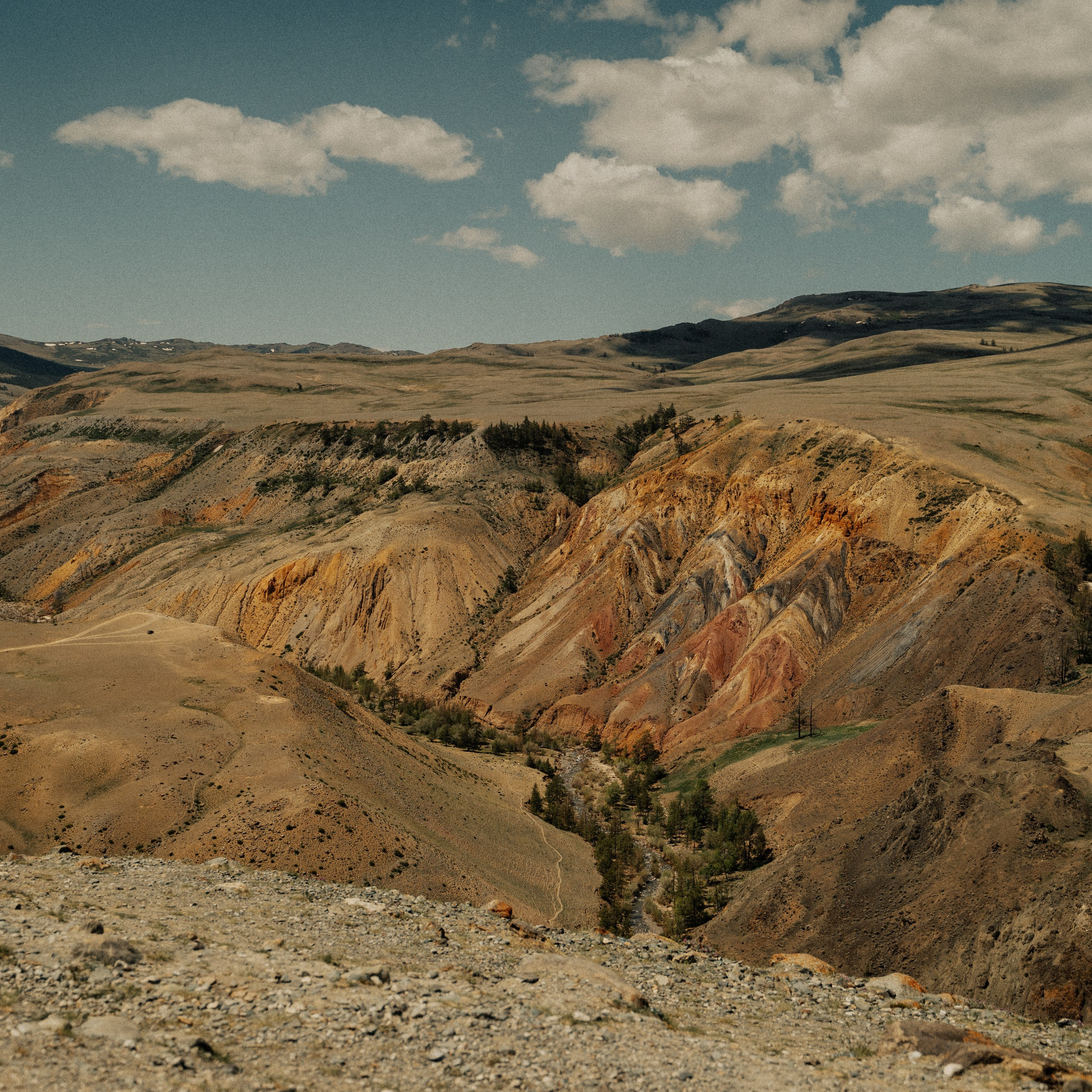 Алтай. Контент съемка | Мобильный фотограф Ириша Гришина