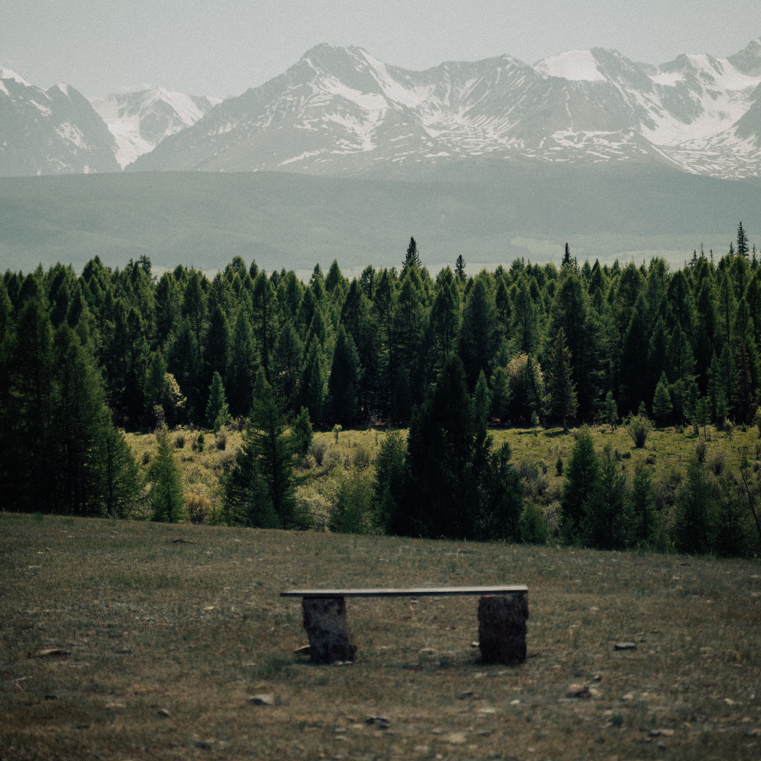 Алтай. Контент съемка | Мобильный фотограф Ириша Гришина