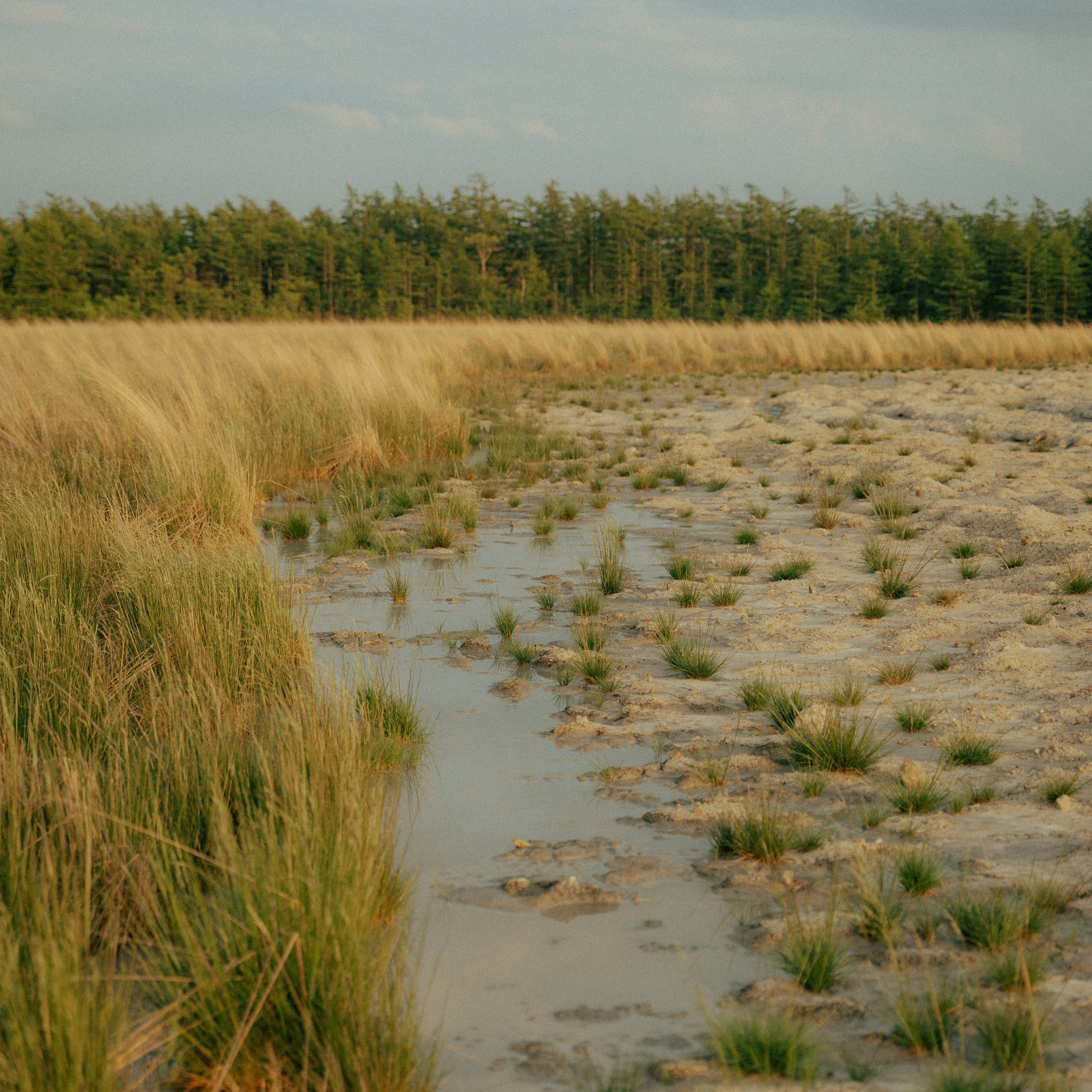 Сахалин. Контент съемка | Мобильный фотограф Ириша Гришина