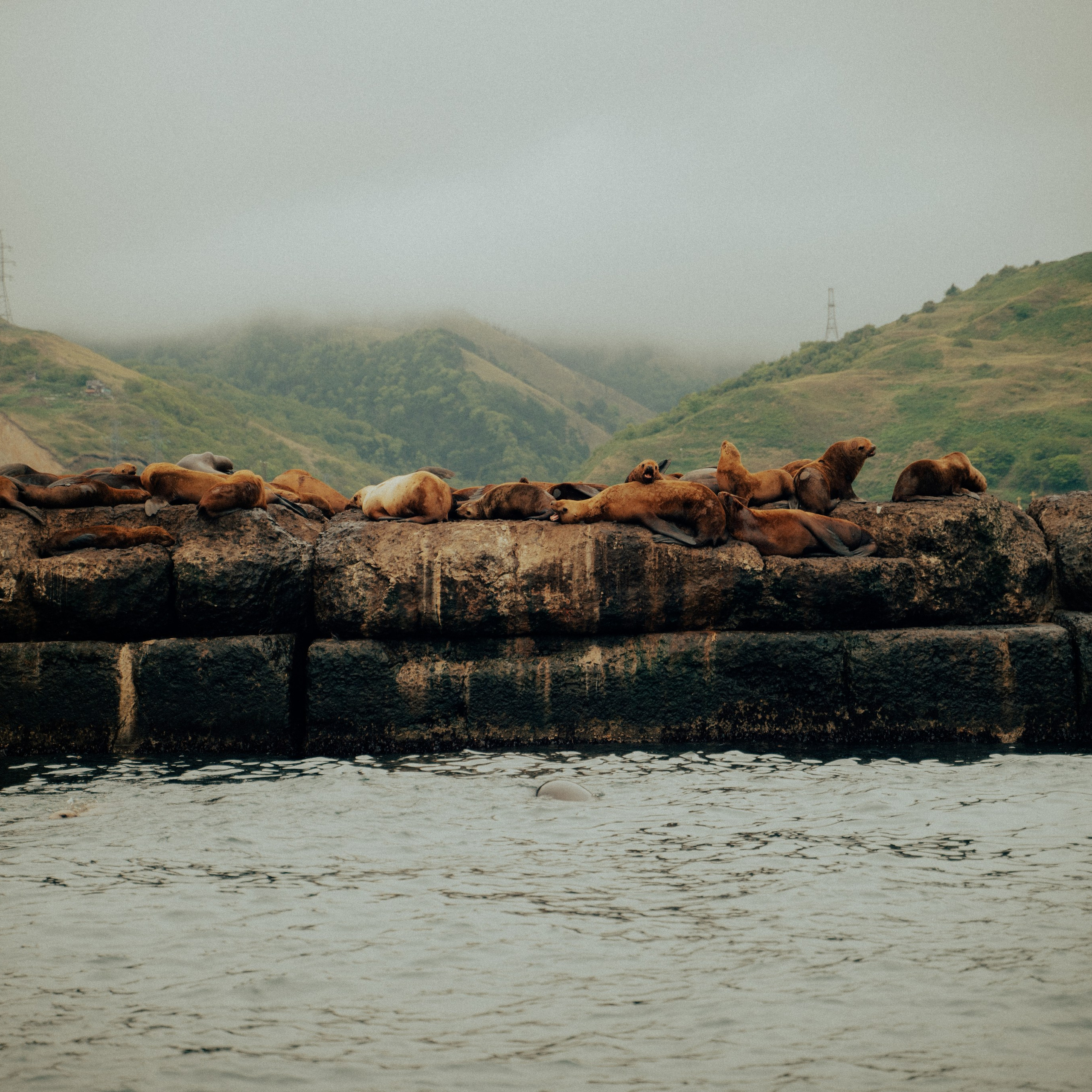 Сахалин. Контент съемка | Мобильный фотограф Ириша Гришина
