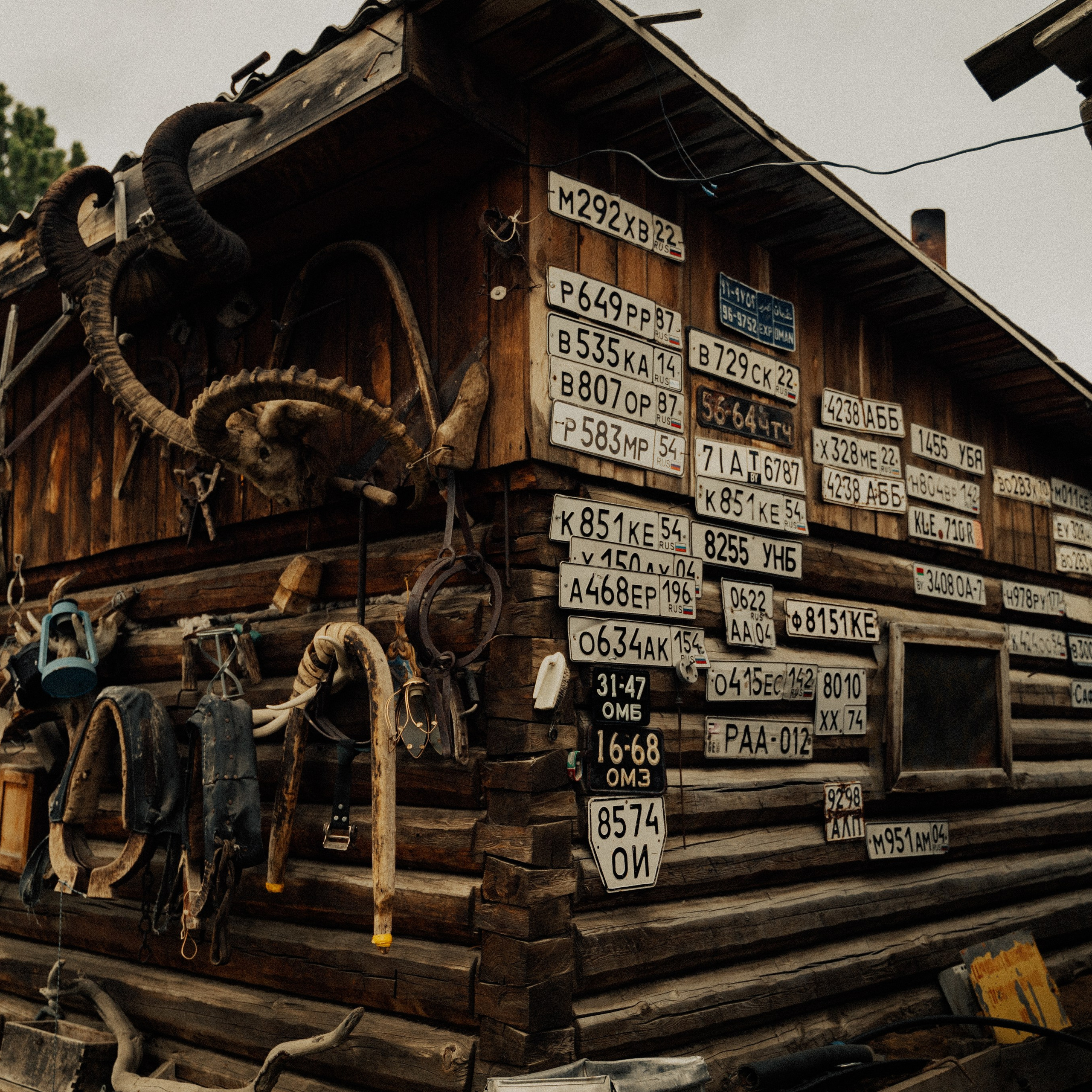 Алтай. Контент съемка | Мобильный фотограф Ириша Гришина