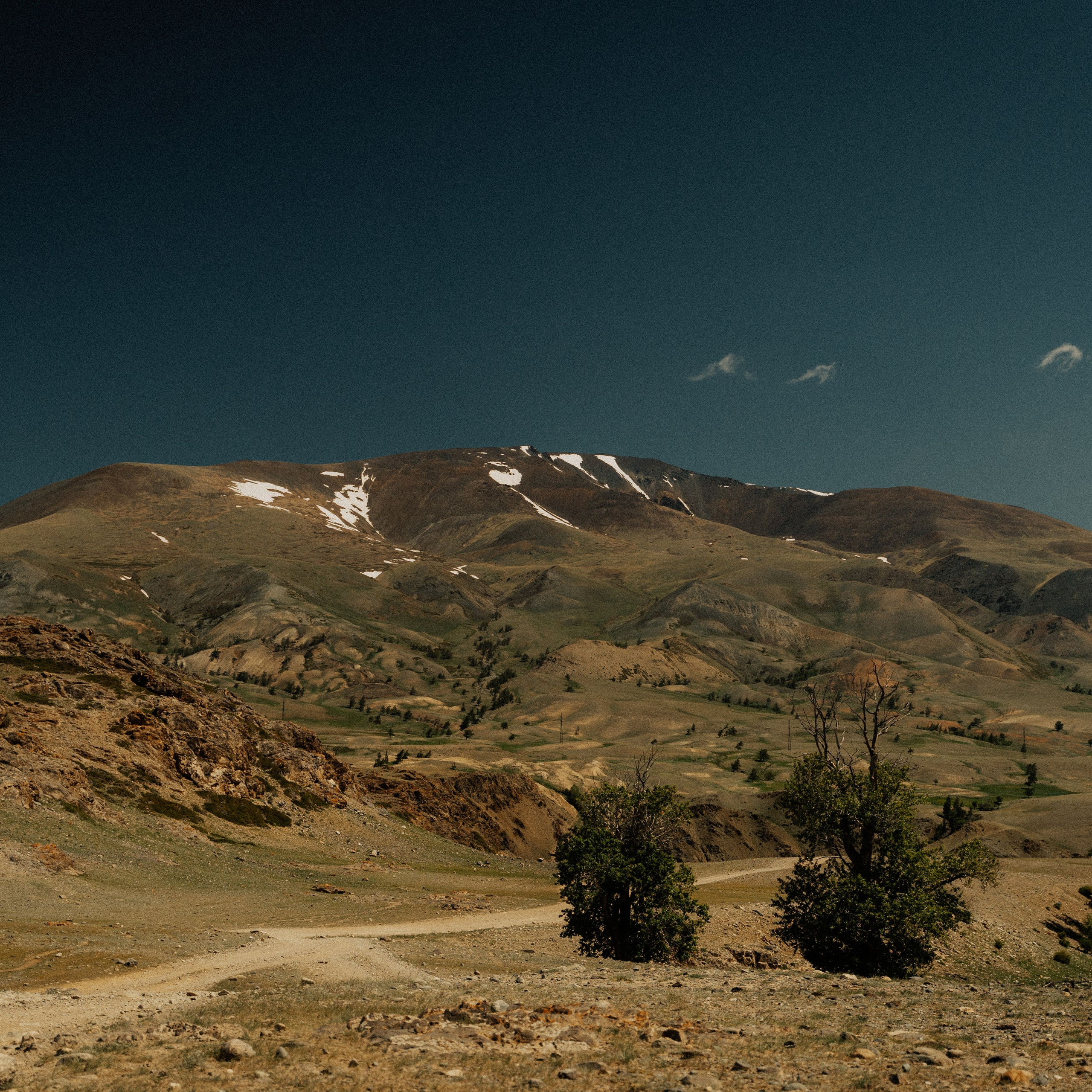 Алтай. Контент съемка | Мобильный фотограф Ириша Гришина