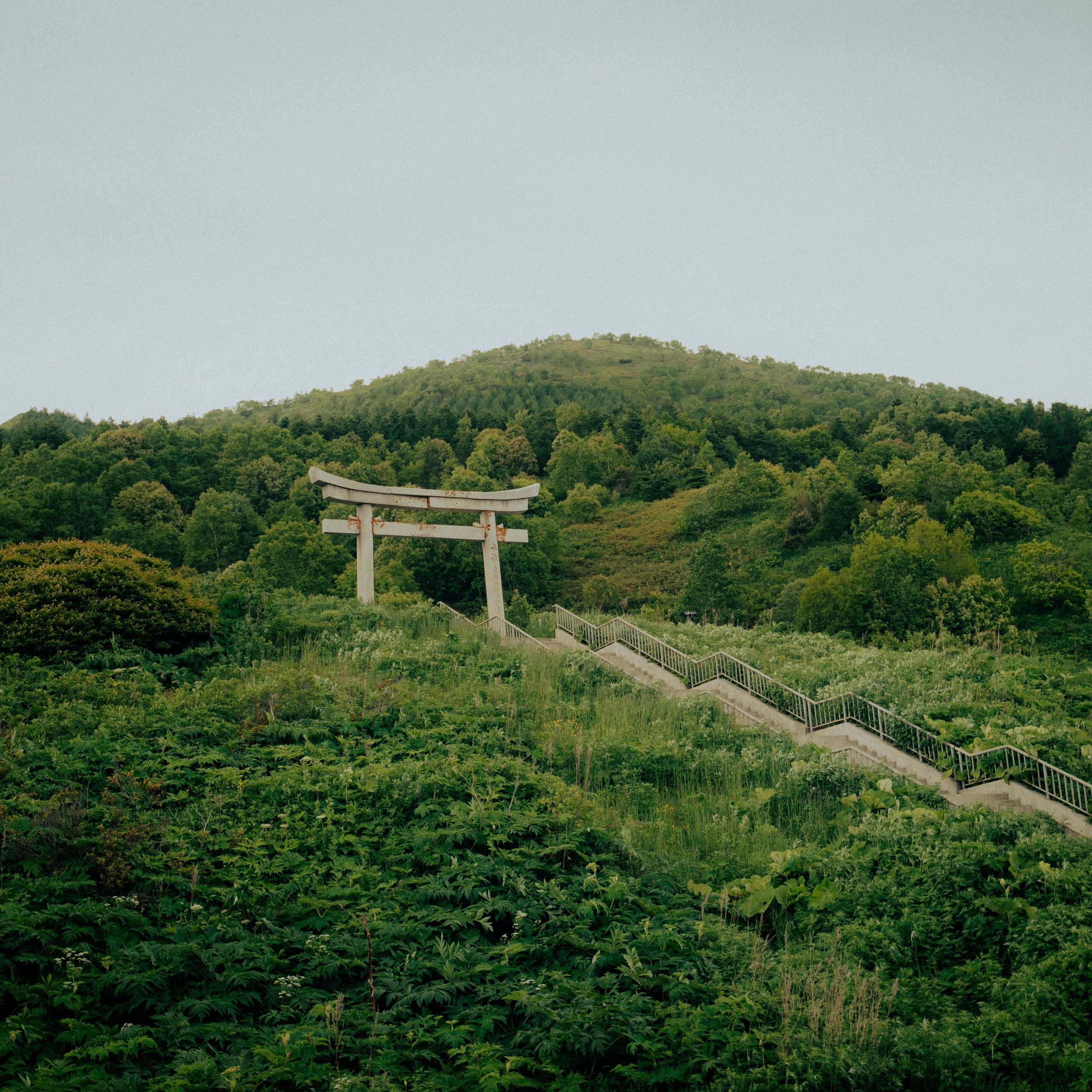 Сахалин. Контент съемка | Мобильный фотограф Ириша Гришина