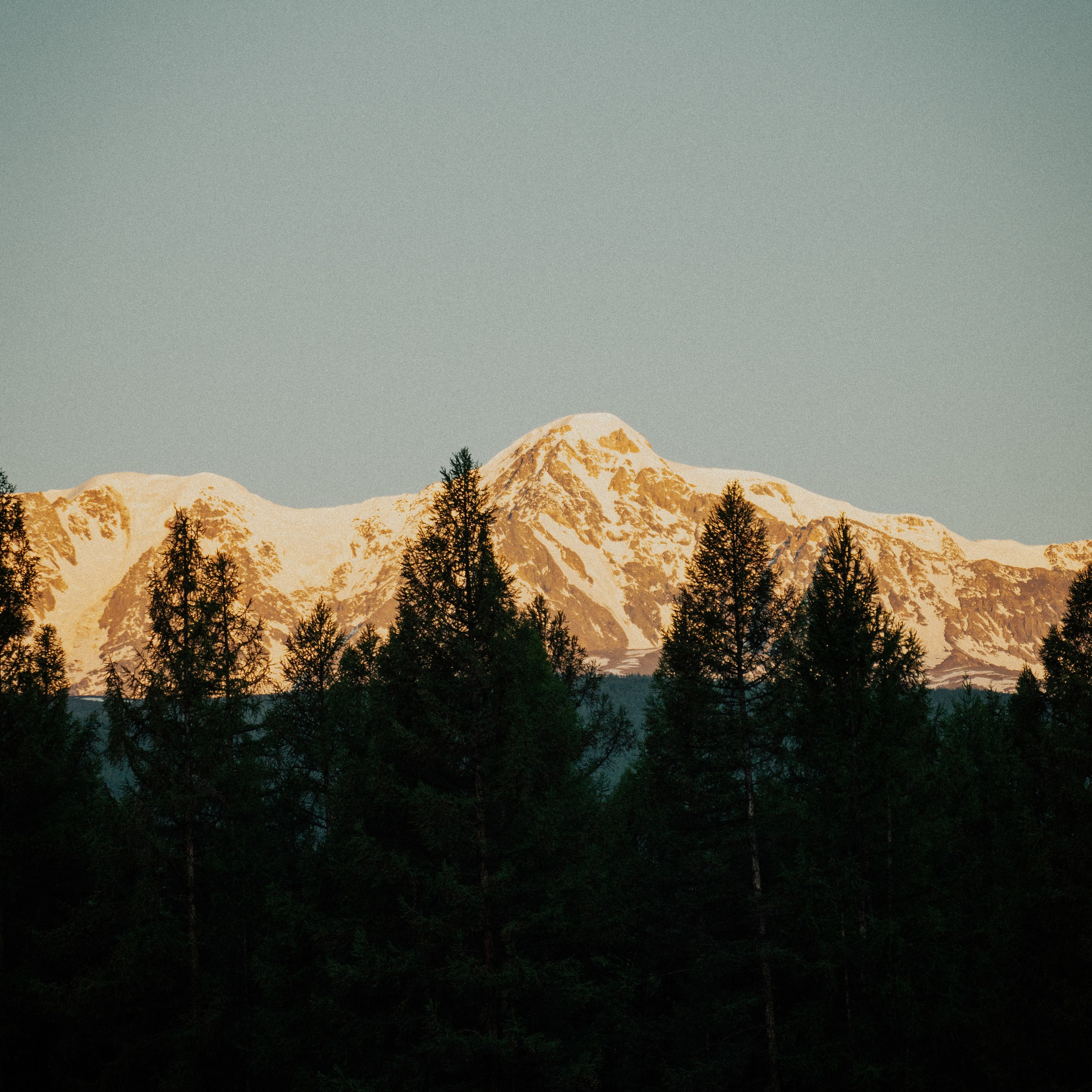 Алтай. Контент съемка | Мобильный фотограф Ириша Гришина