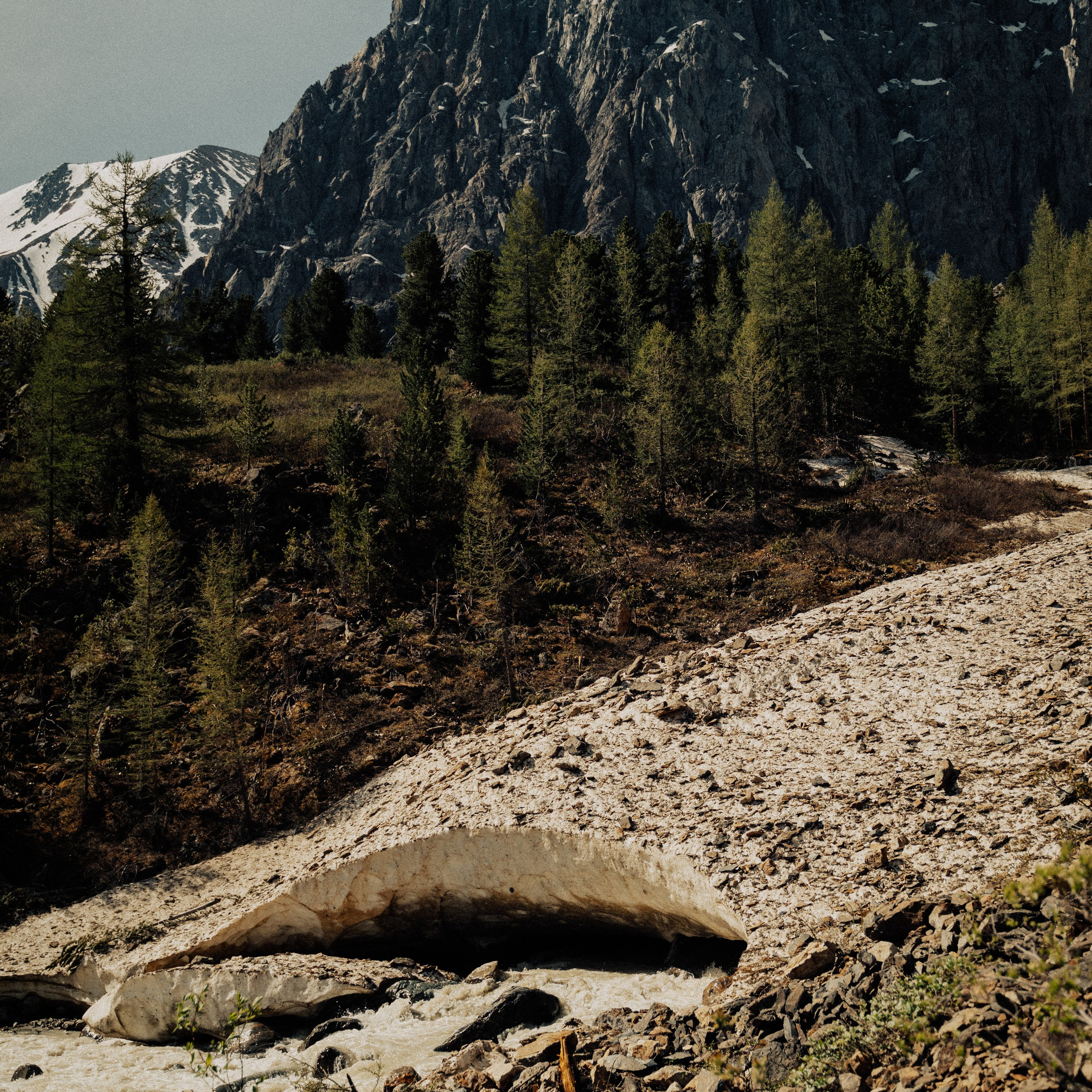 Алтай. Контент съемка | Мобильный фотограф Ириша Гришина