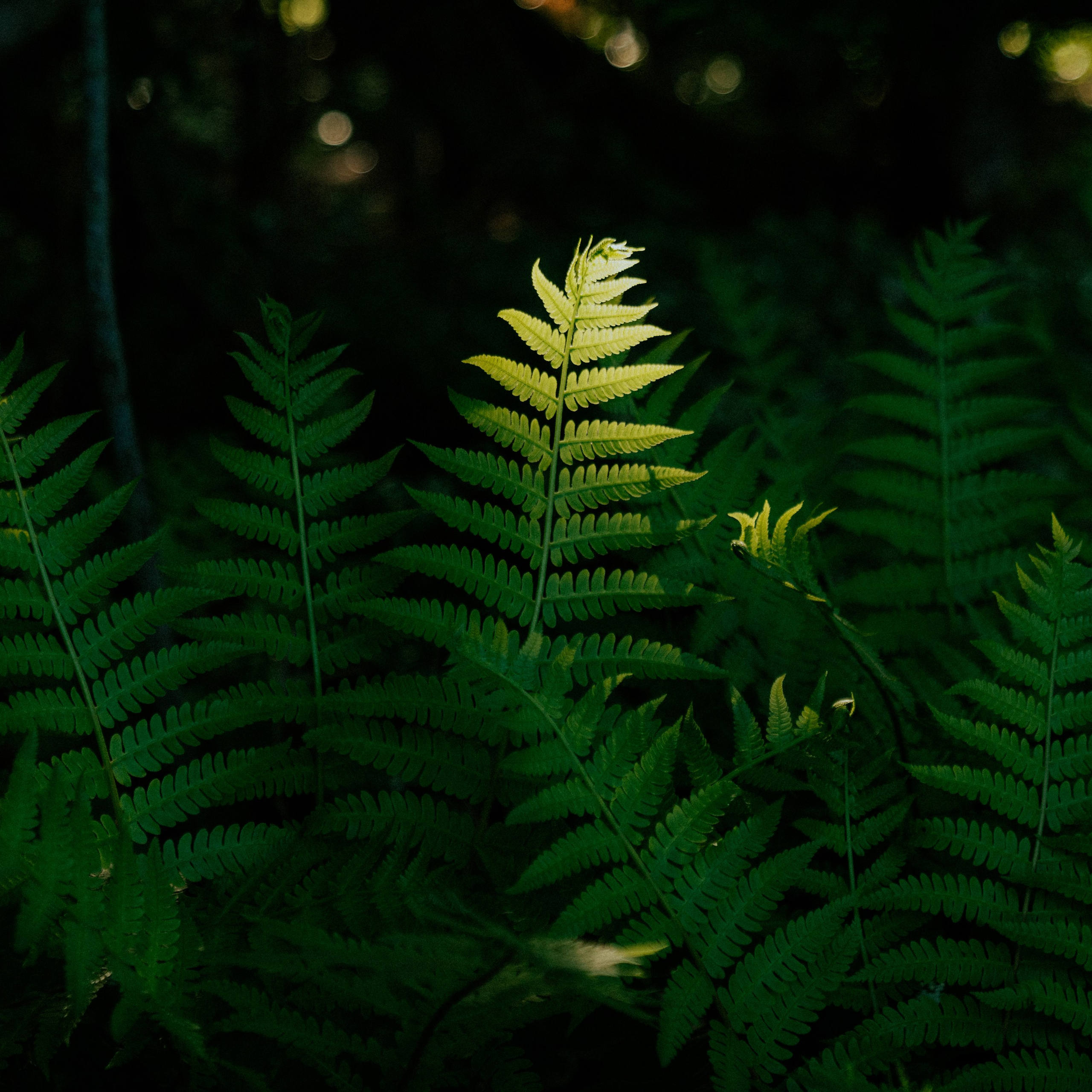 Сахалин. Контент съемка | Мобильный фотограф Ириша Гришина