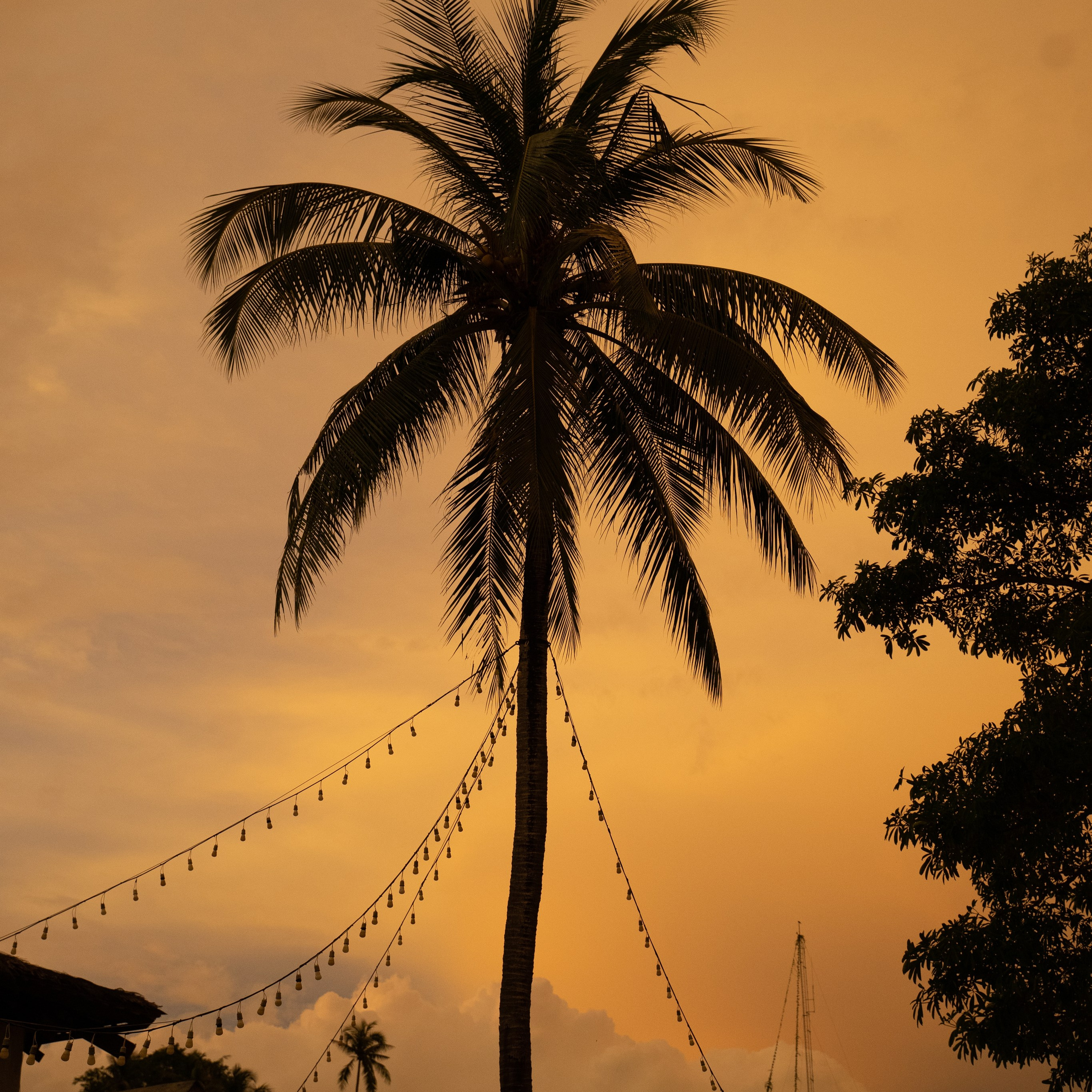 Travel story с Татьяной Соловей. Контент съемка | Мобильный фотограф Ириша Гришина