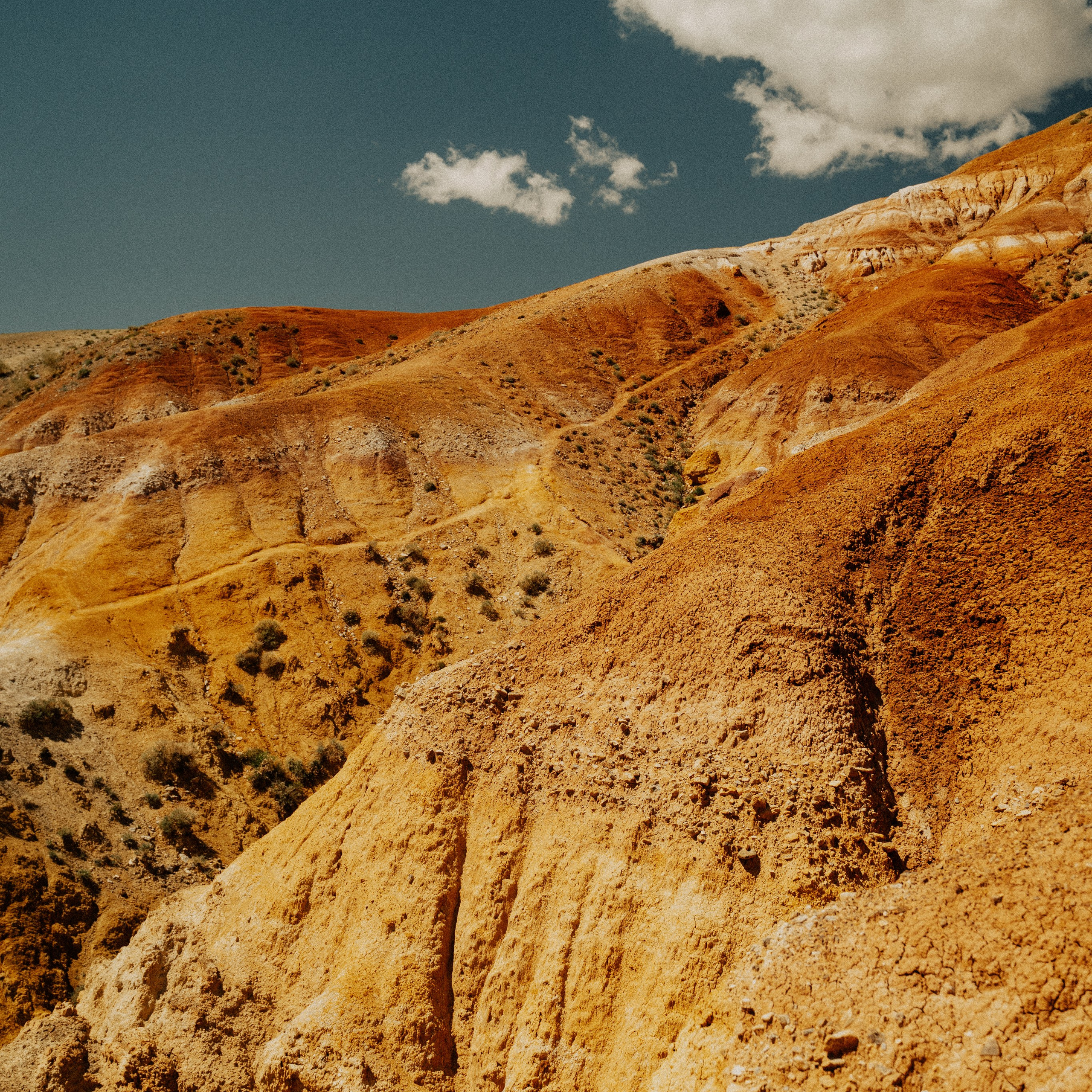 Алтай. Контент съемка | Мобильный фотограф Ириша Гришина