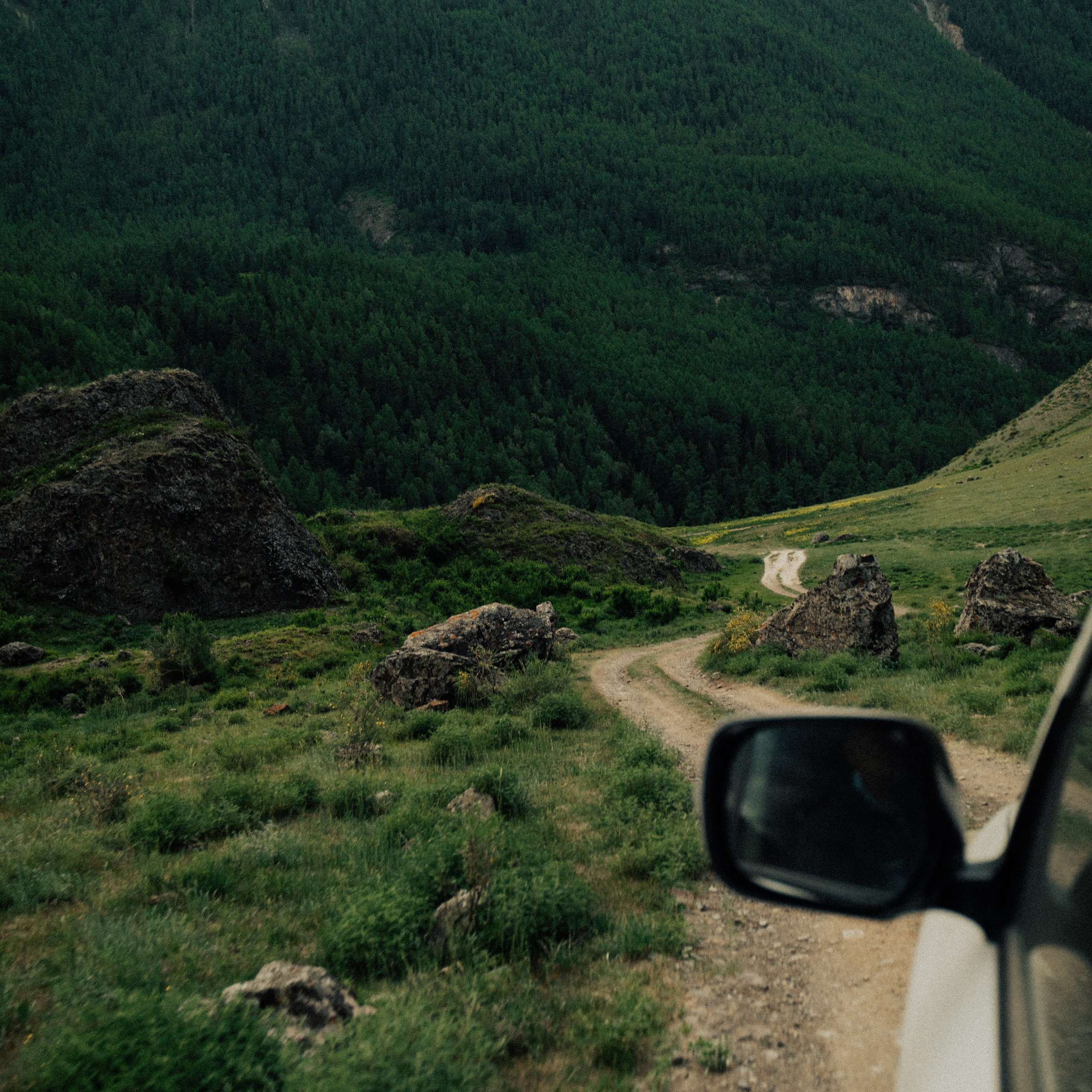 Алтай. Контент съемка | Мобильный фотограф Ириша Гришина