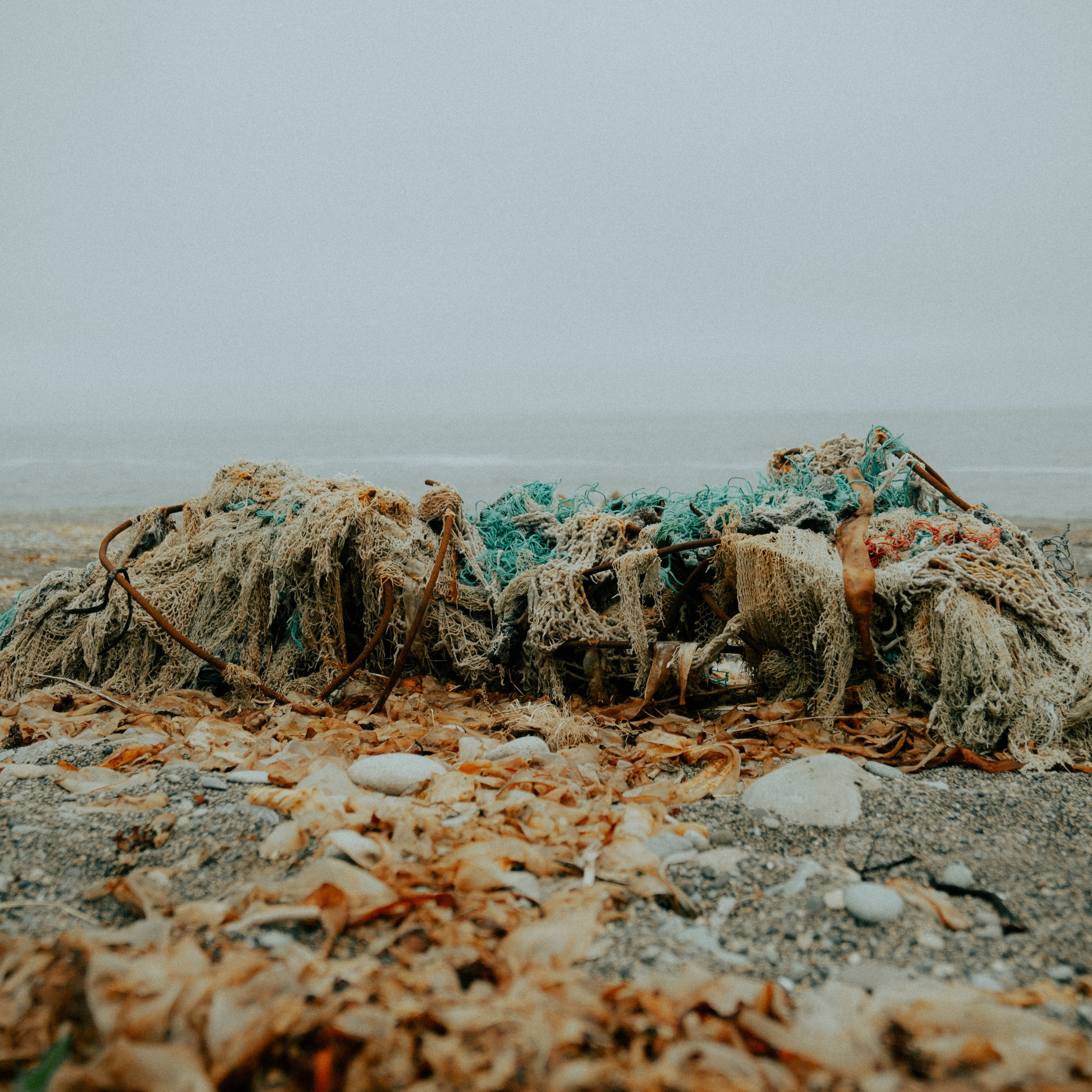 Сахалин. Контент съемка | Мобильный фотограф Ириша Гришина