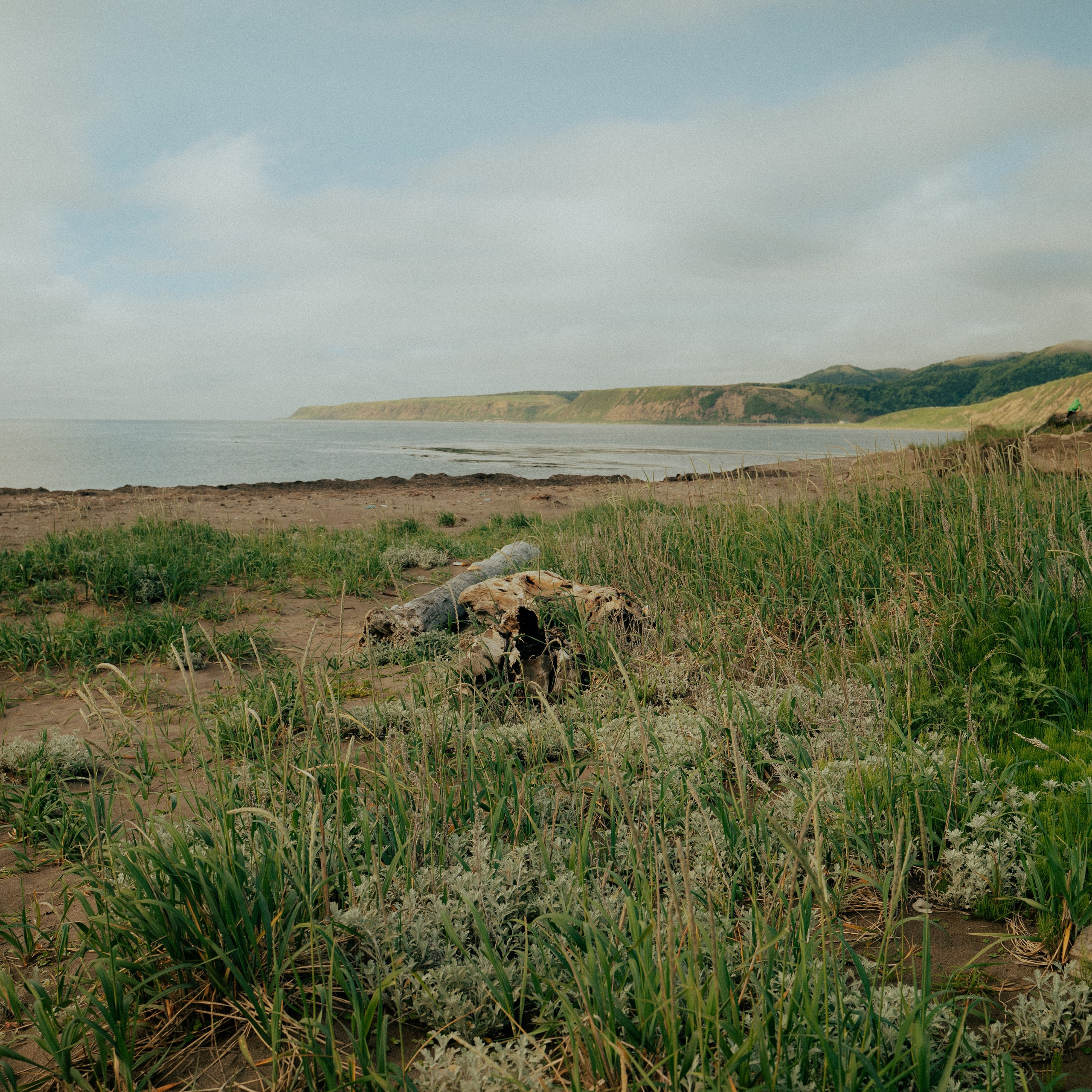 Сахалин. Контент съемка | Мобильный фотограф Ириша Гришина