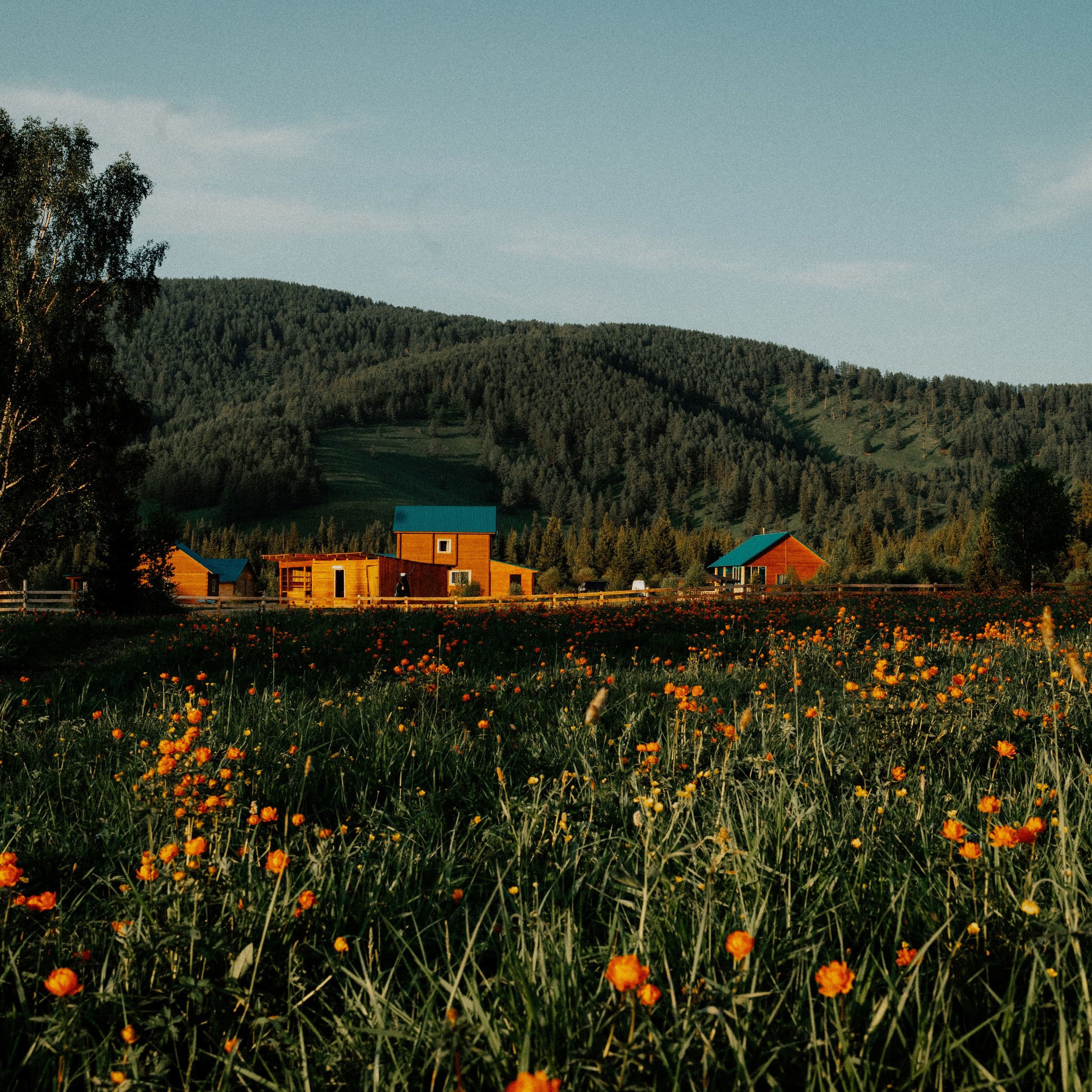 Алтай. Контент съемка | Мобильный фотограф Ириша Гришина