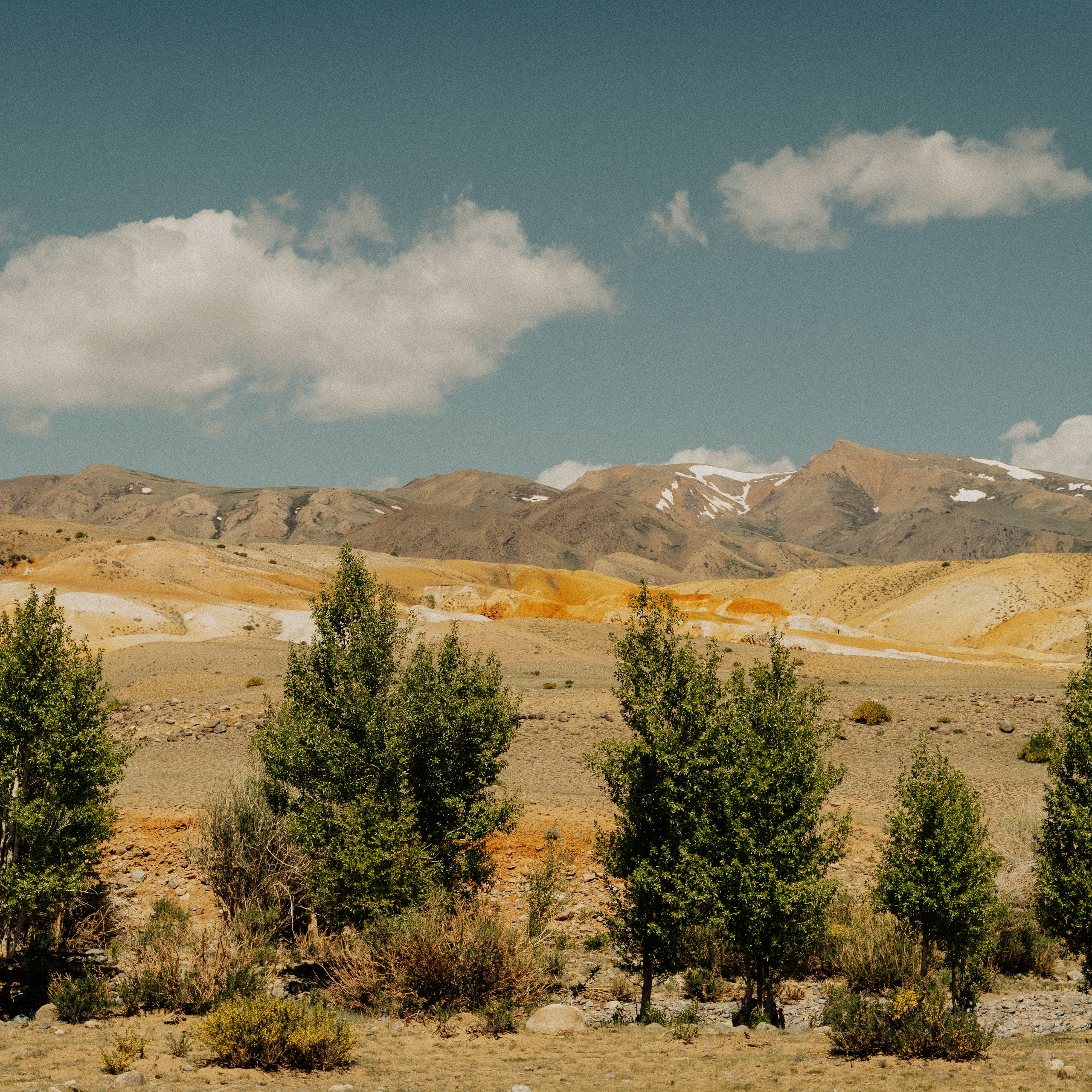 Алтай. Контент съемка | Мобильный фотограф Ириша Гришина