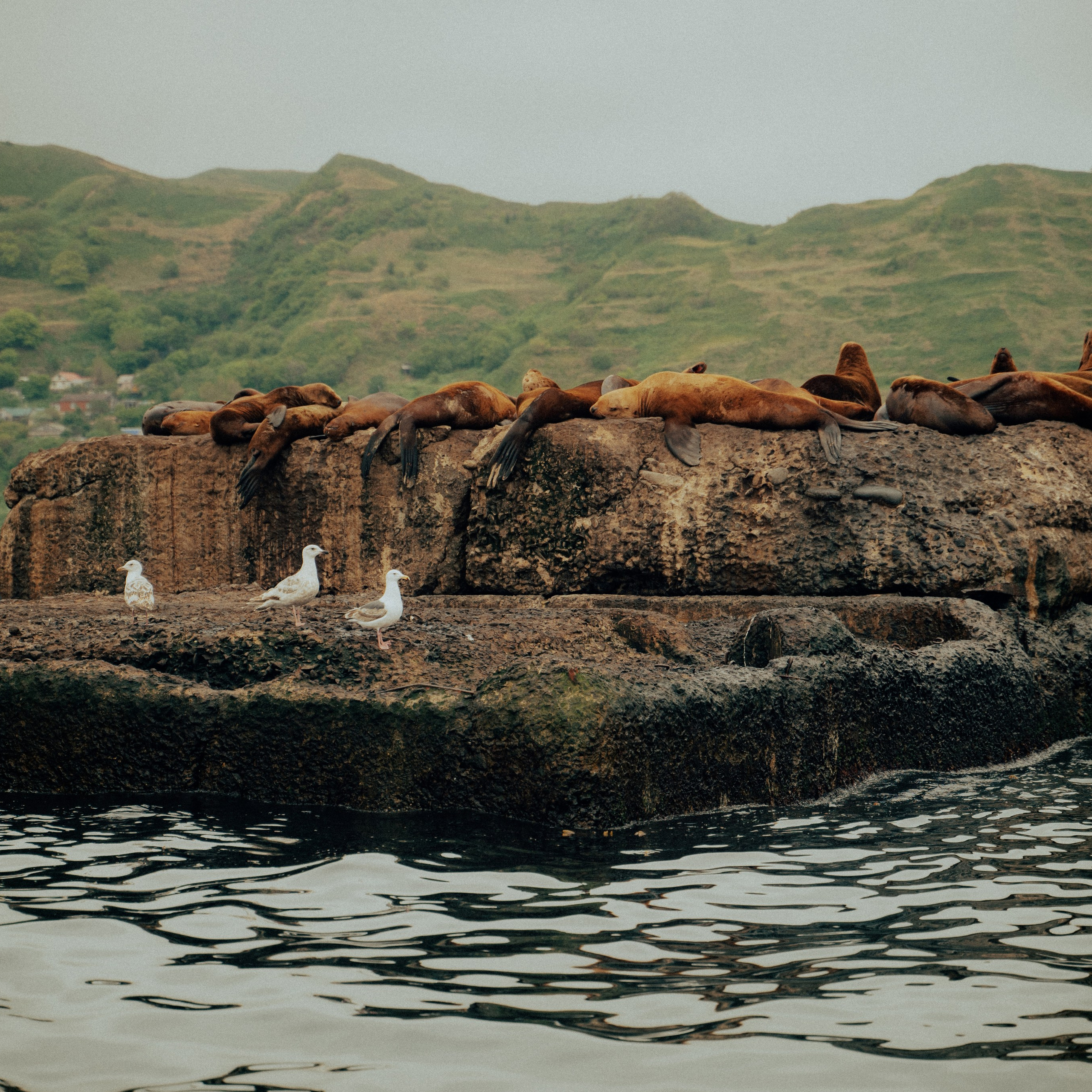 Сахалин. Контент съемка | Мобильный фотограф Ириша Гришина