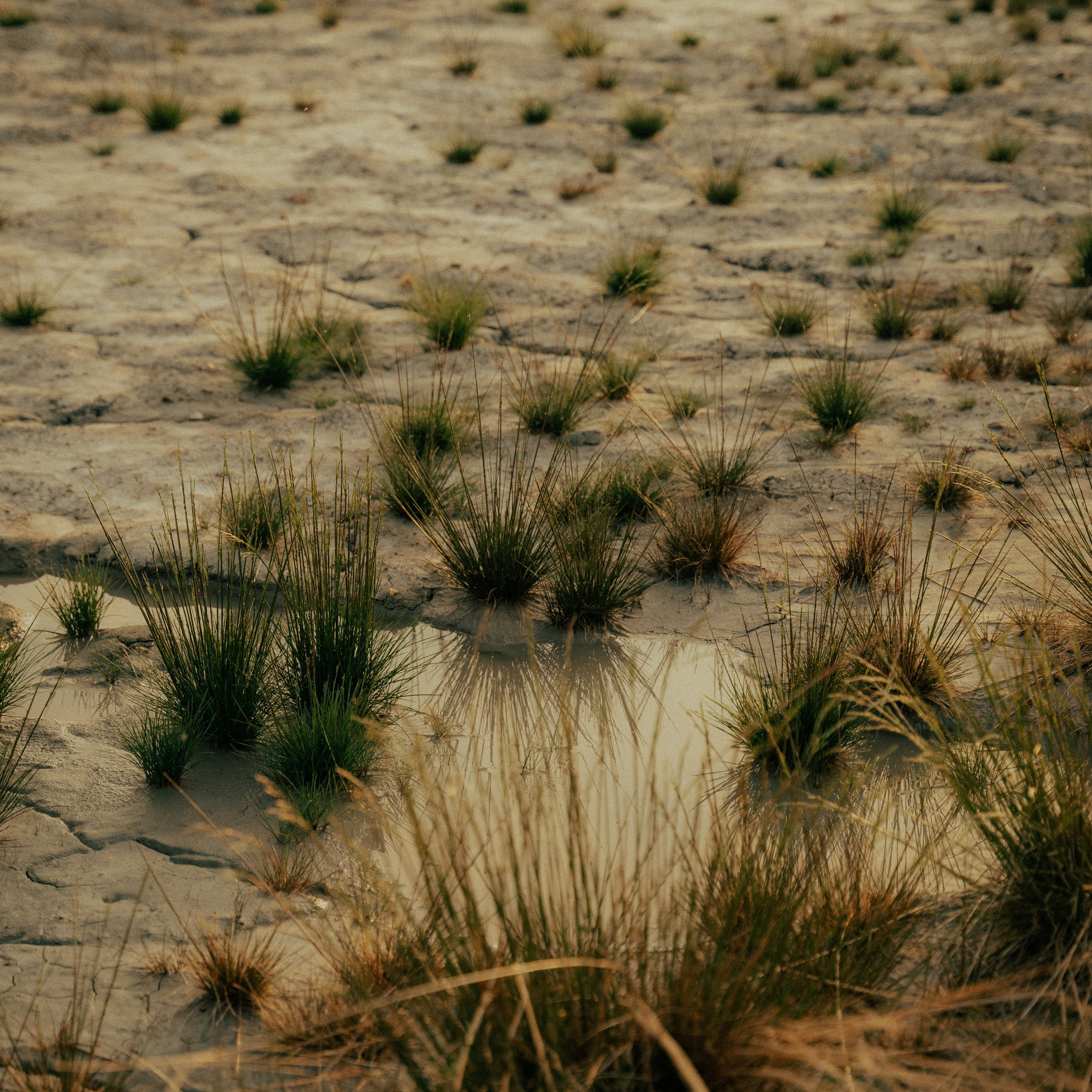 Сахалин. Контент съемка | Мобильный фотограф Ириша Гришина