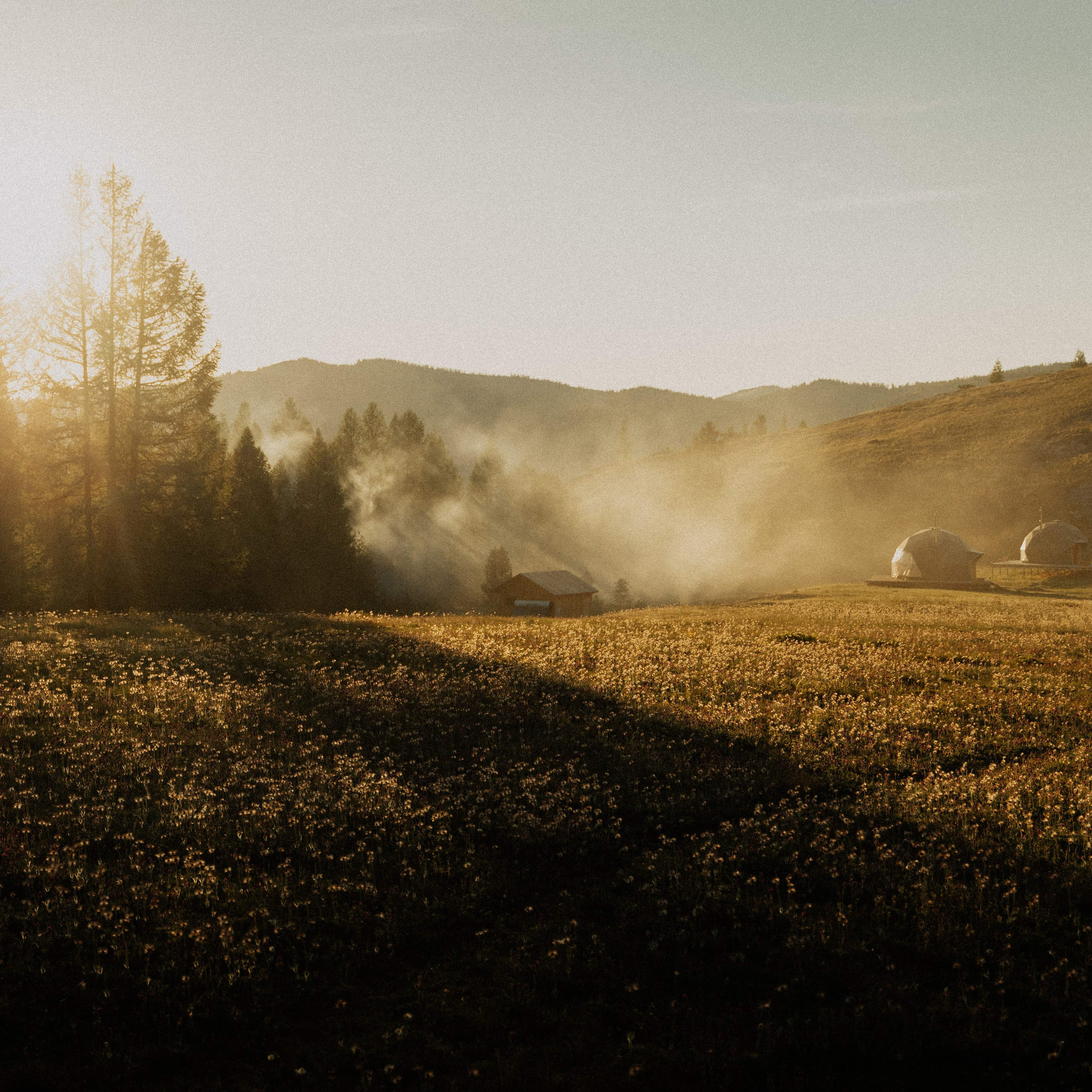 Алтай. Контент съемка | Мобильный фотограф Ириша Гришина
