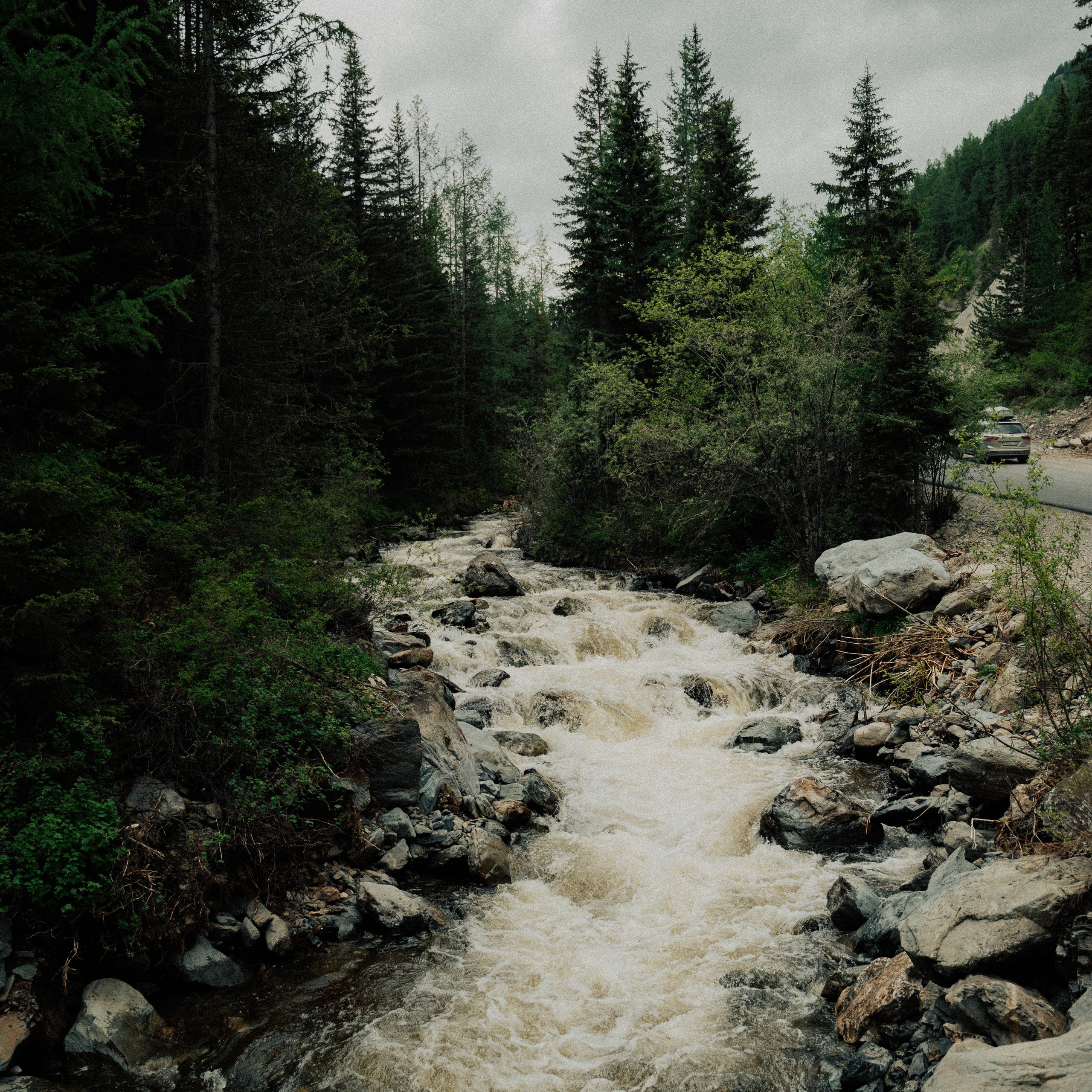 Алтай. Контент съемка | Мобильный фотограф Ириша Гришина